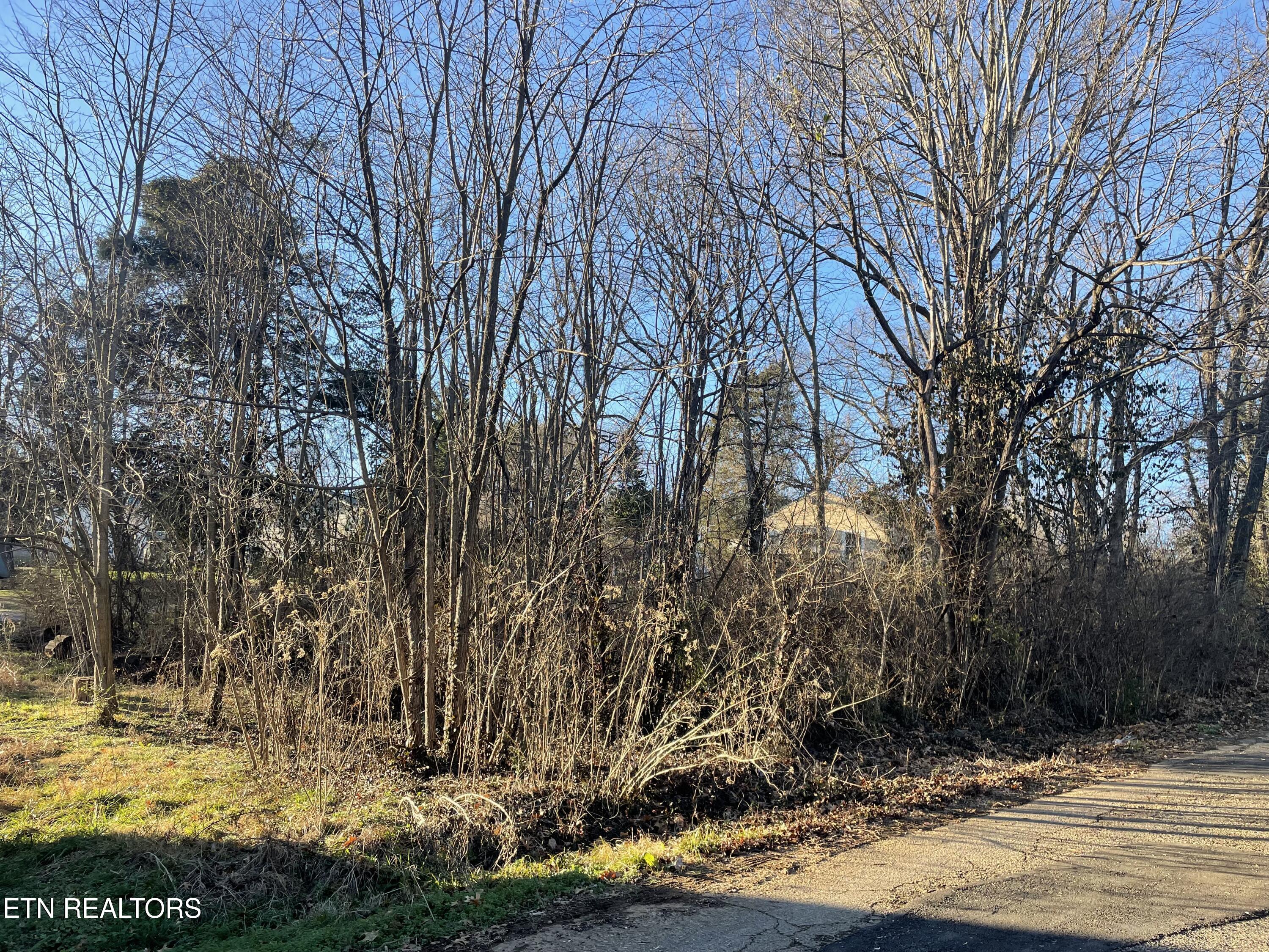 0 Leconte Road Knoxville TN 37914