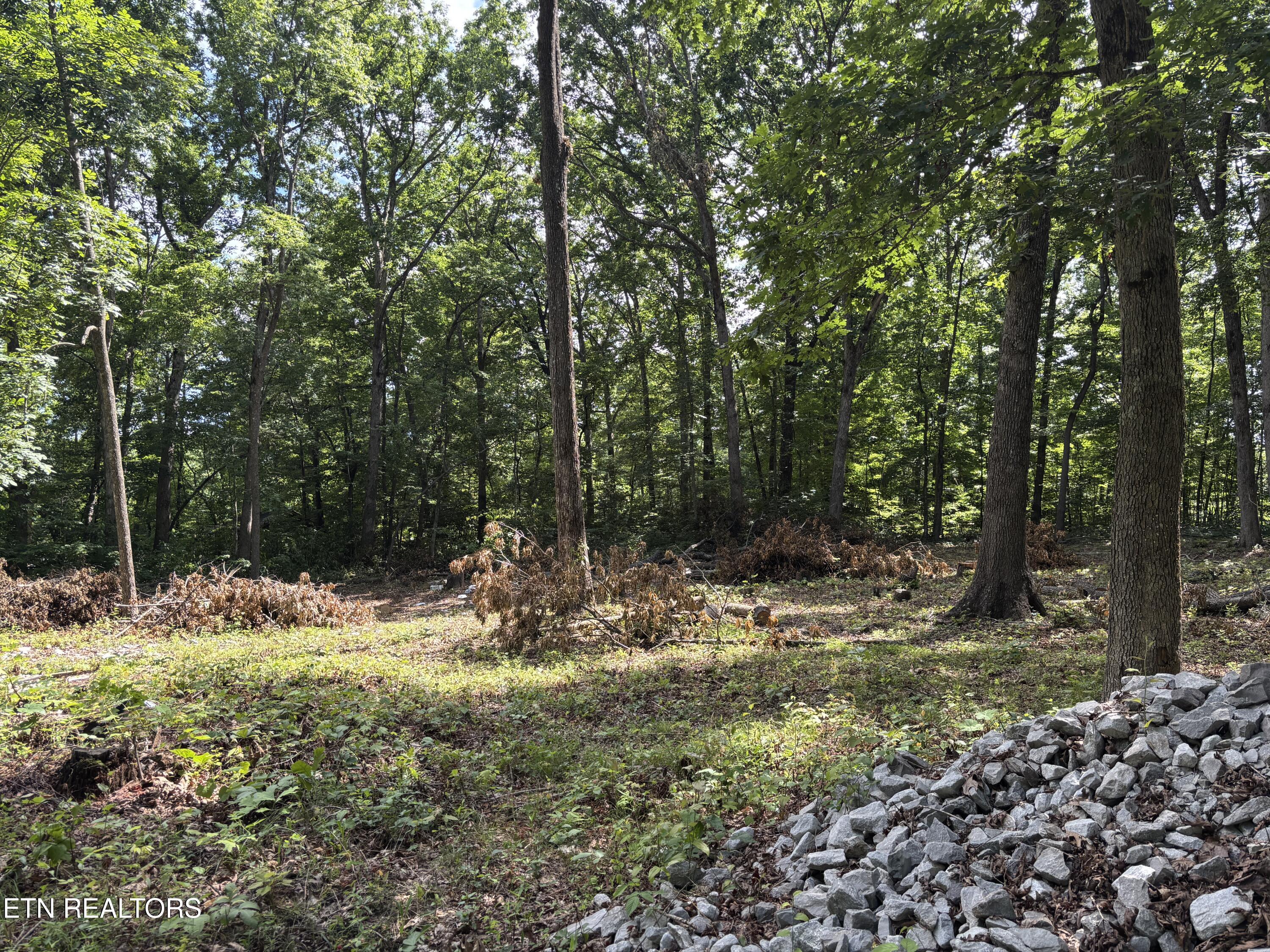 272 Morgan Circle Crossville TN 38572