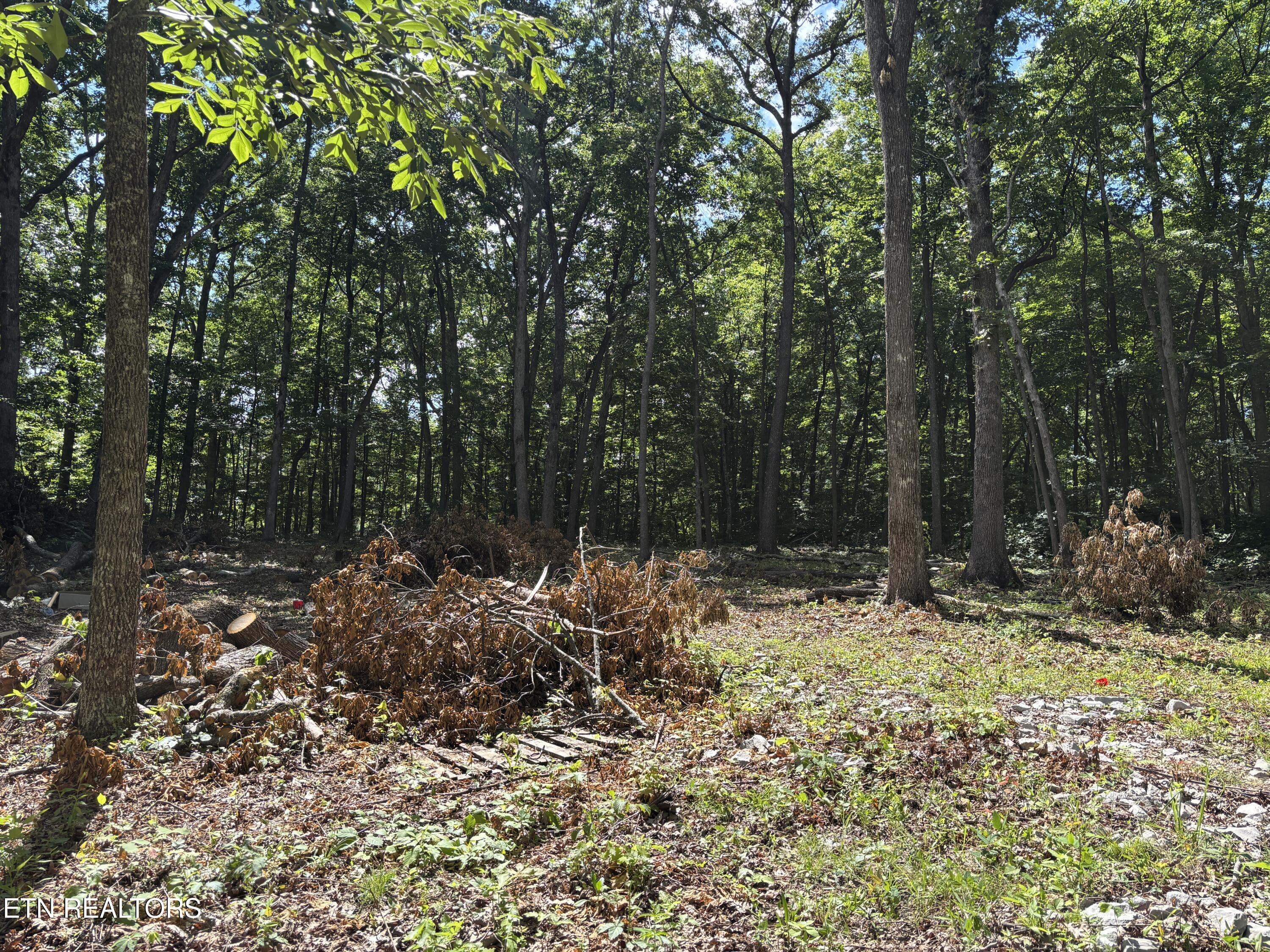 272 Morgan Circle Crossville TN 38572