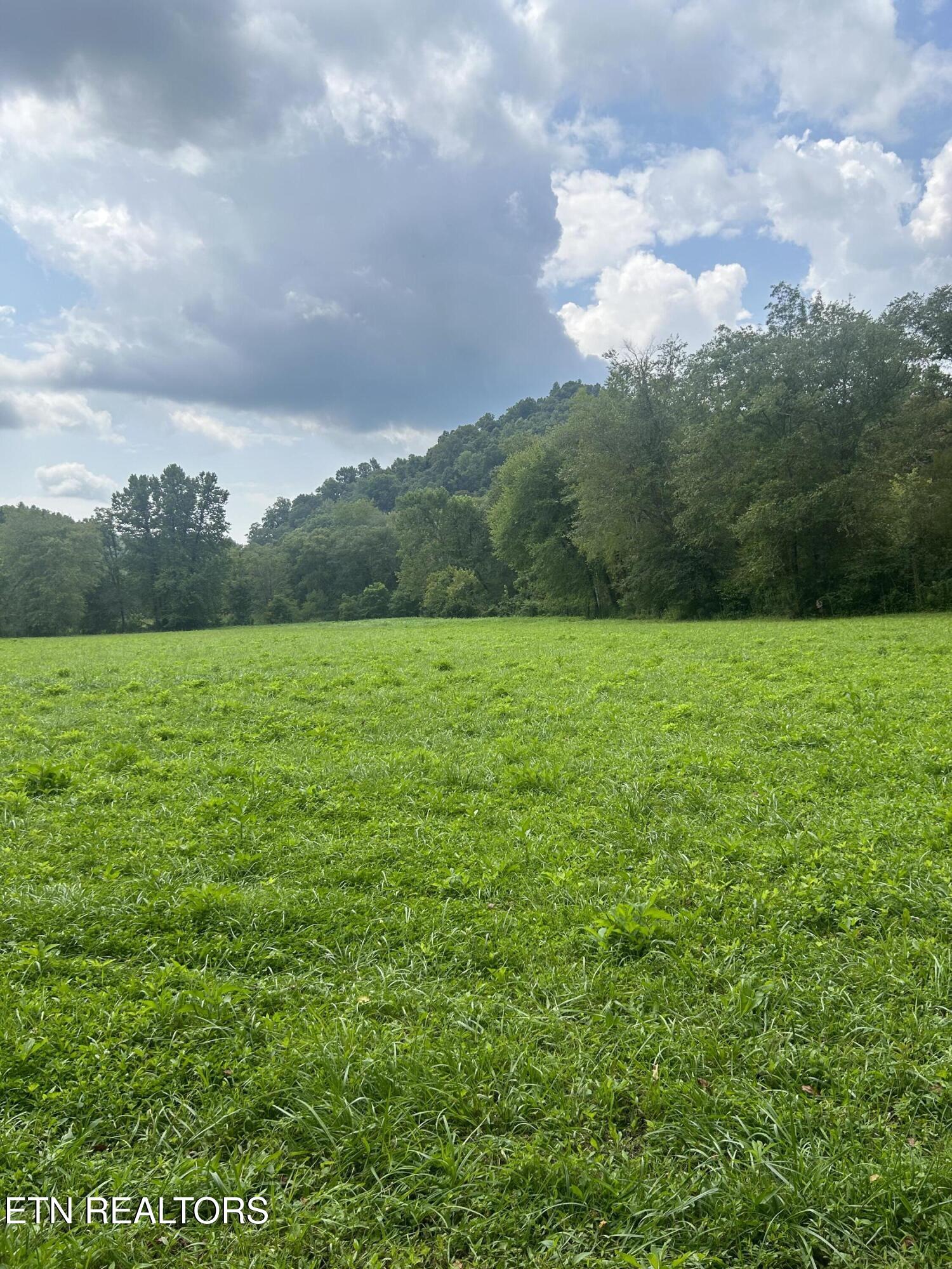 6116 Paint Rock Road Oneida TN 37841