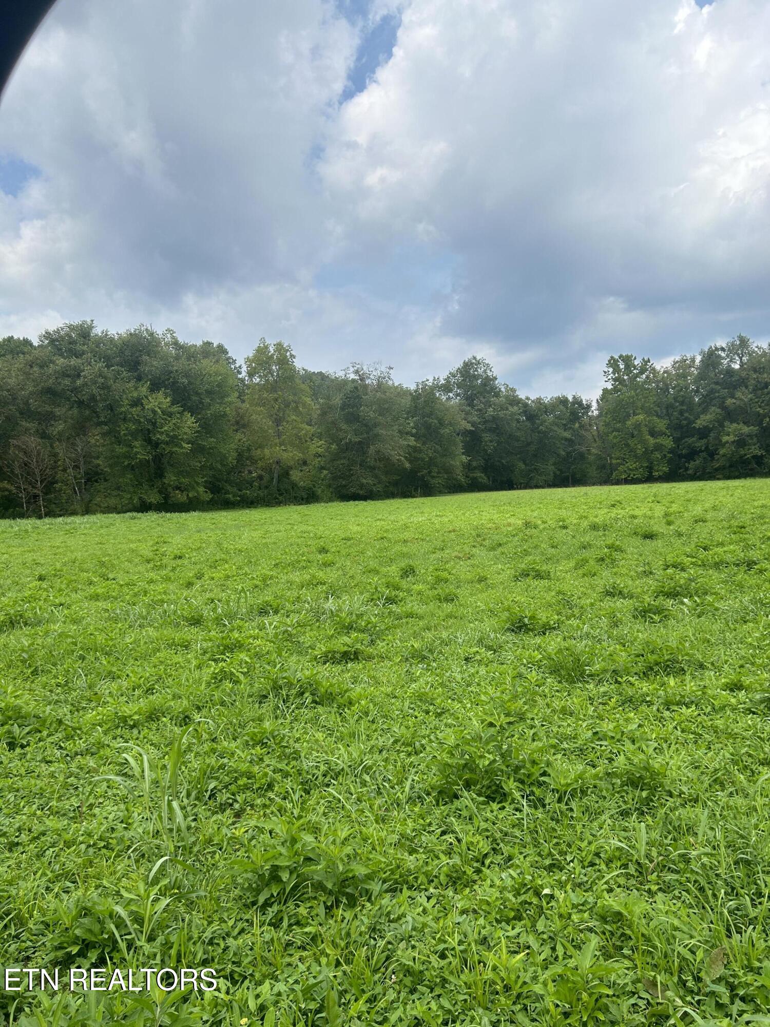 6116 Paint Rock Road Oneida TN 37841