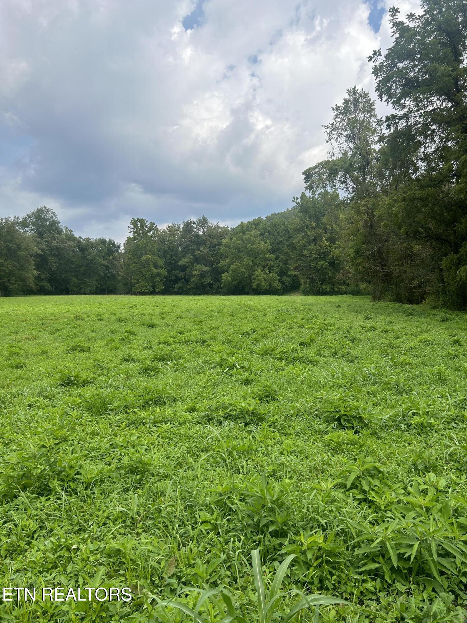 6116 Paint Rock Road Oneida TN 37841