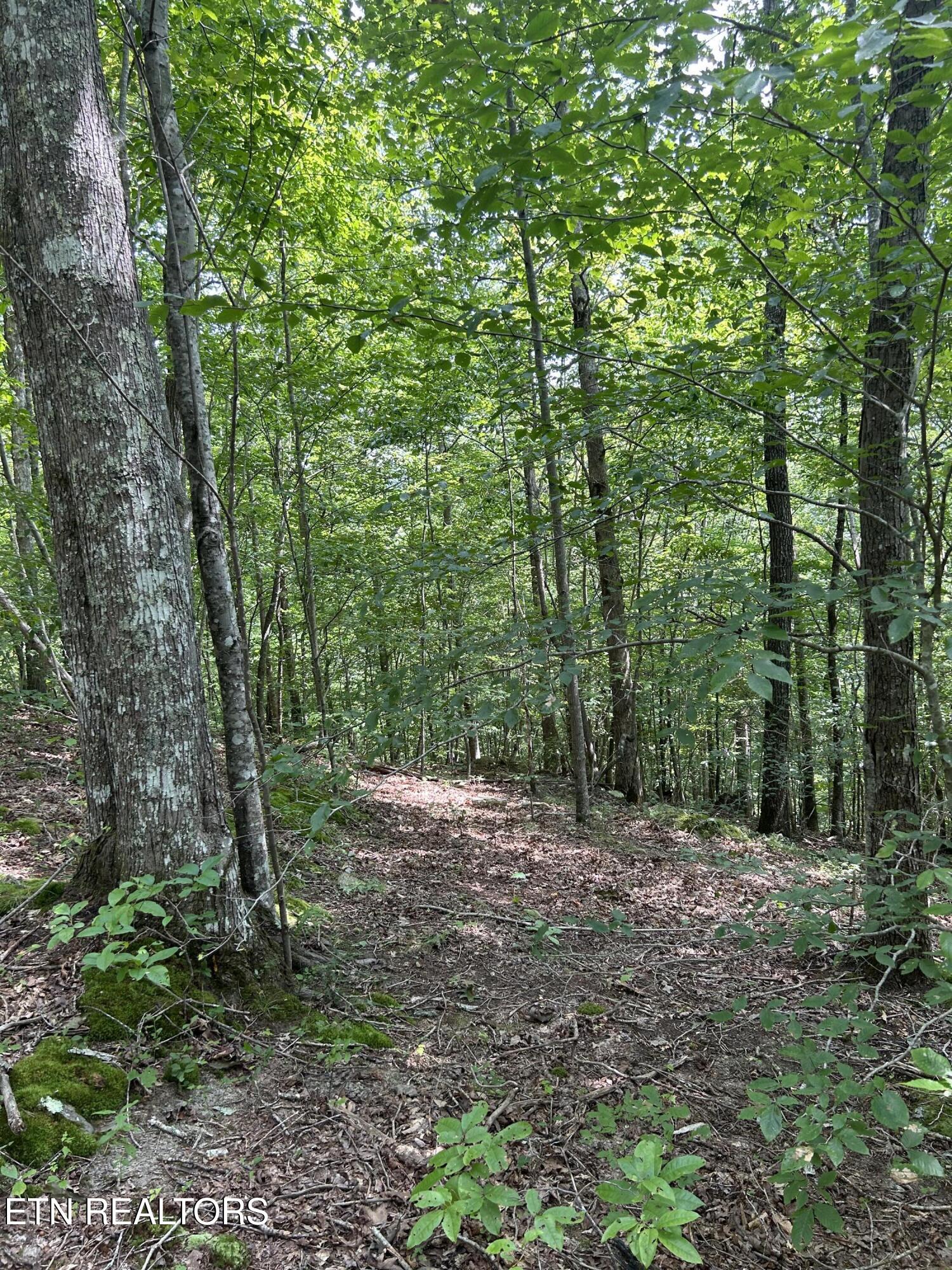 6116 Paint Rock Road Oneida TN 37841