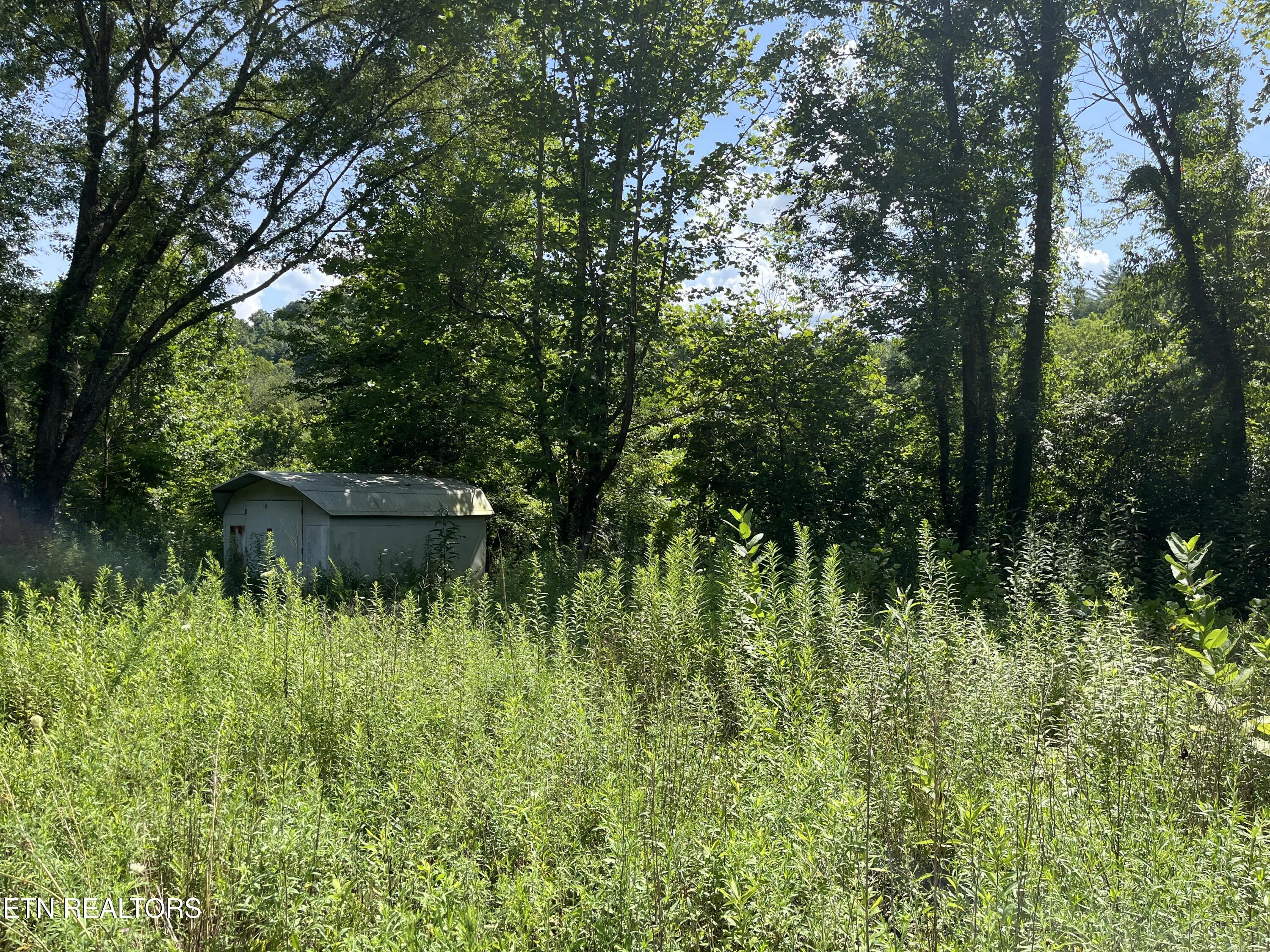 6116 Paint Rock Road Oneida TN 37841