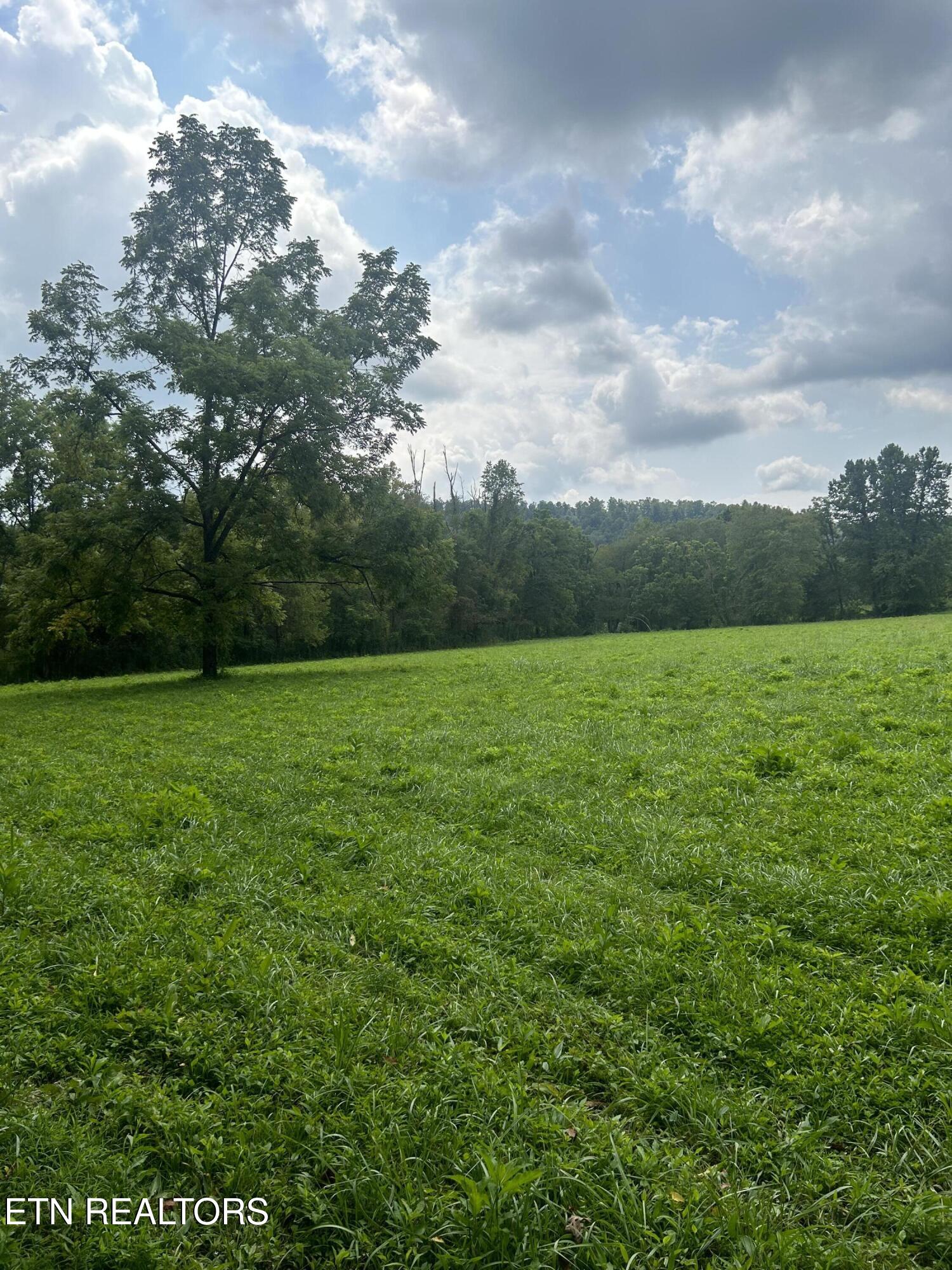 6116 Paint Rock Road Oneida TN 37841