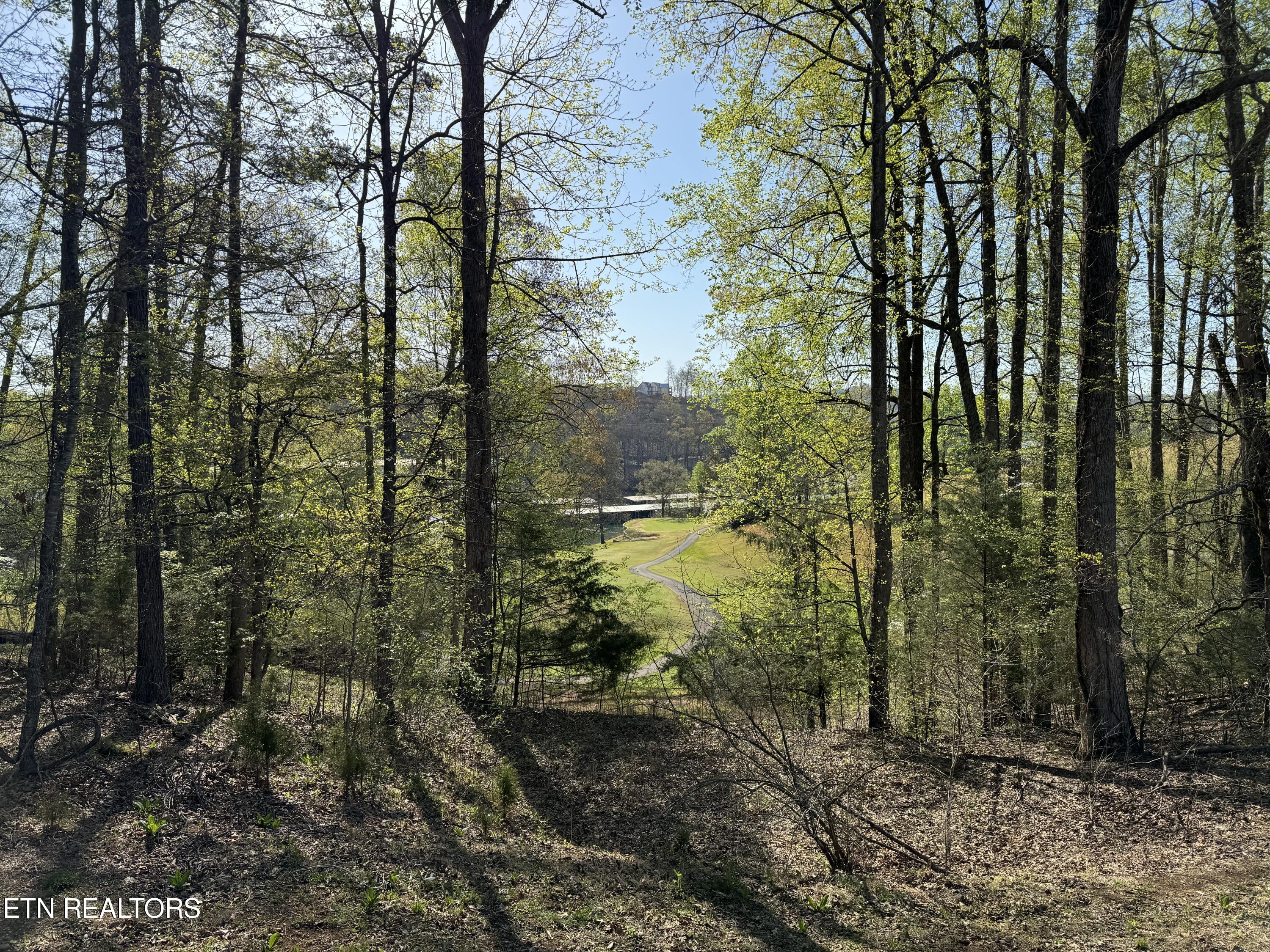 Deerfield Way Lafollette TN 37766