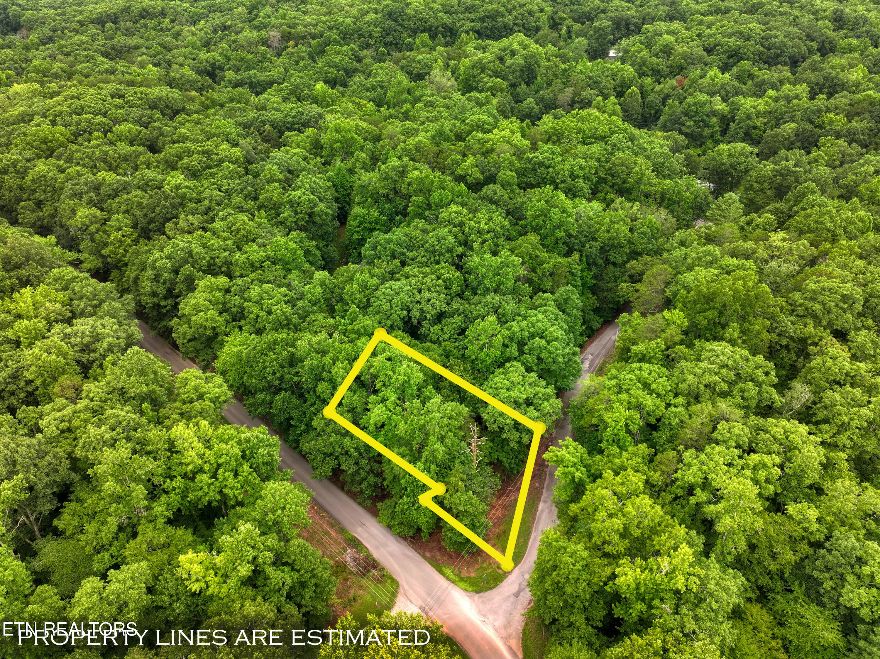 Lake Overlook Drive Rockwood TN 37854