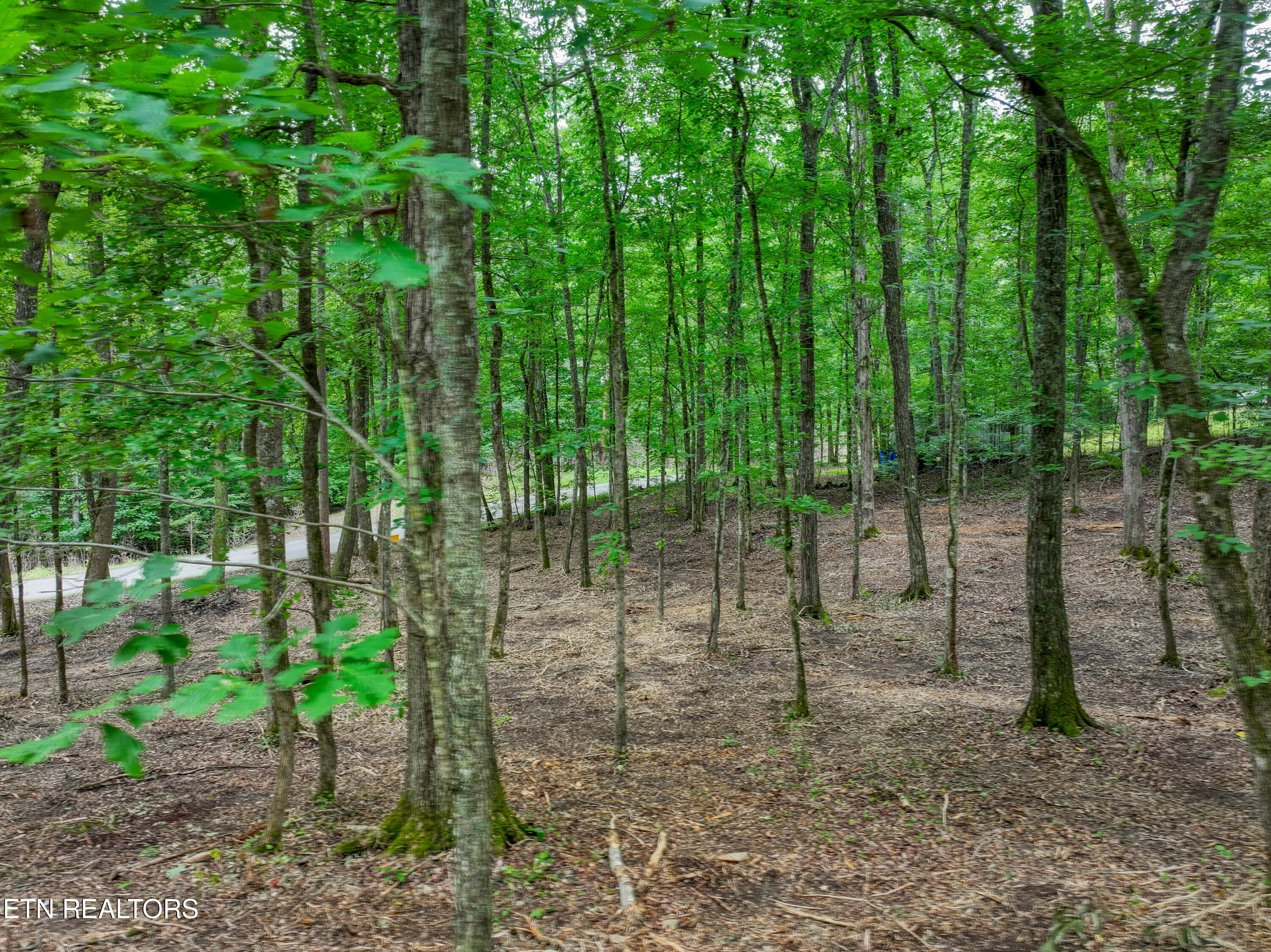 Lake Overlook Drive Rockwood TN 37854