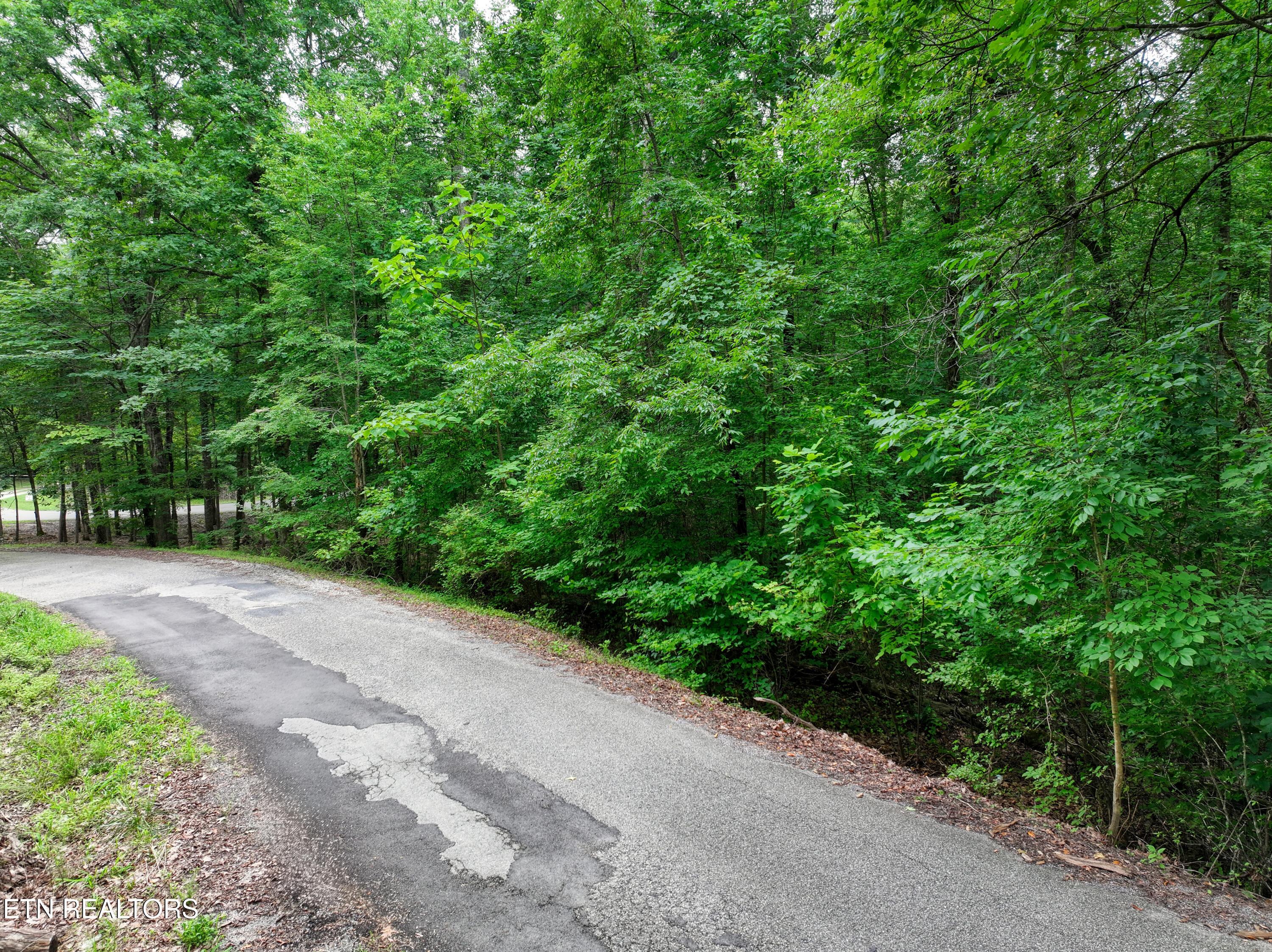Lake Overlook Drive Rockwood TN 37854