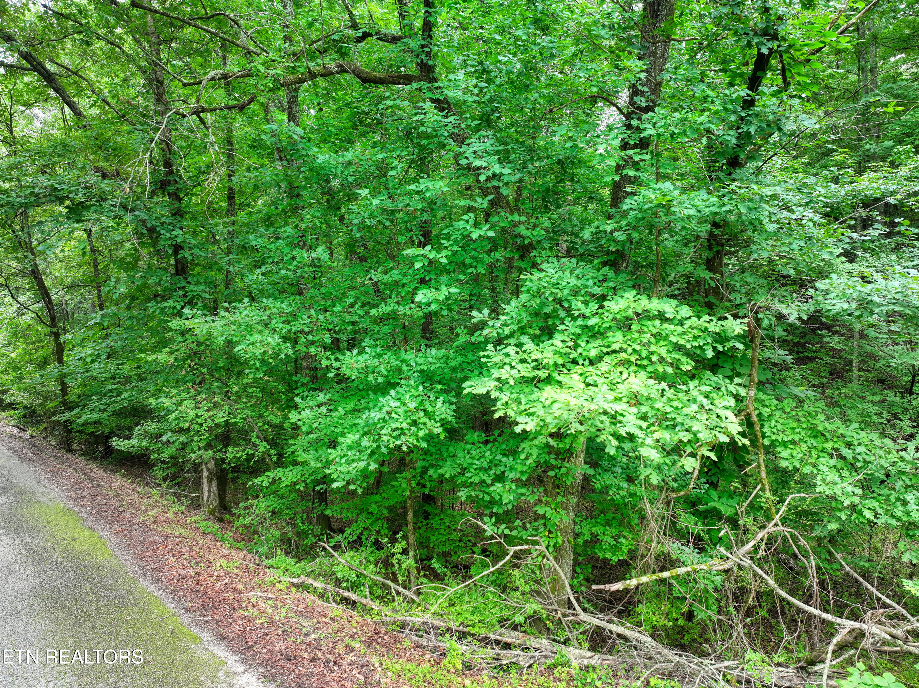 Lake Overlook Drive Rockwood TN 37854