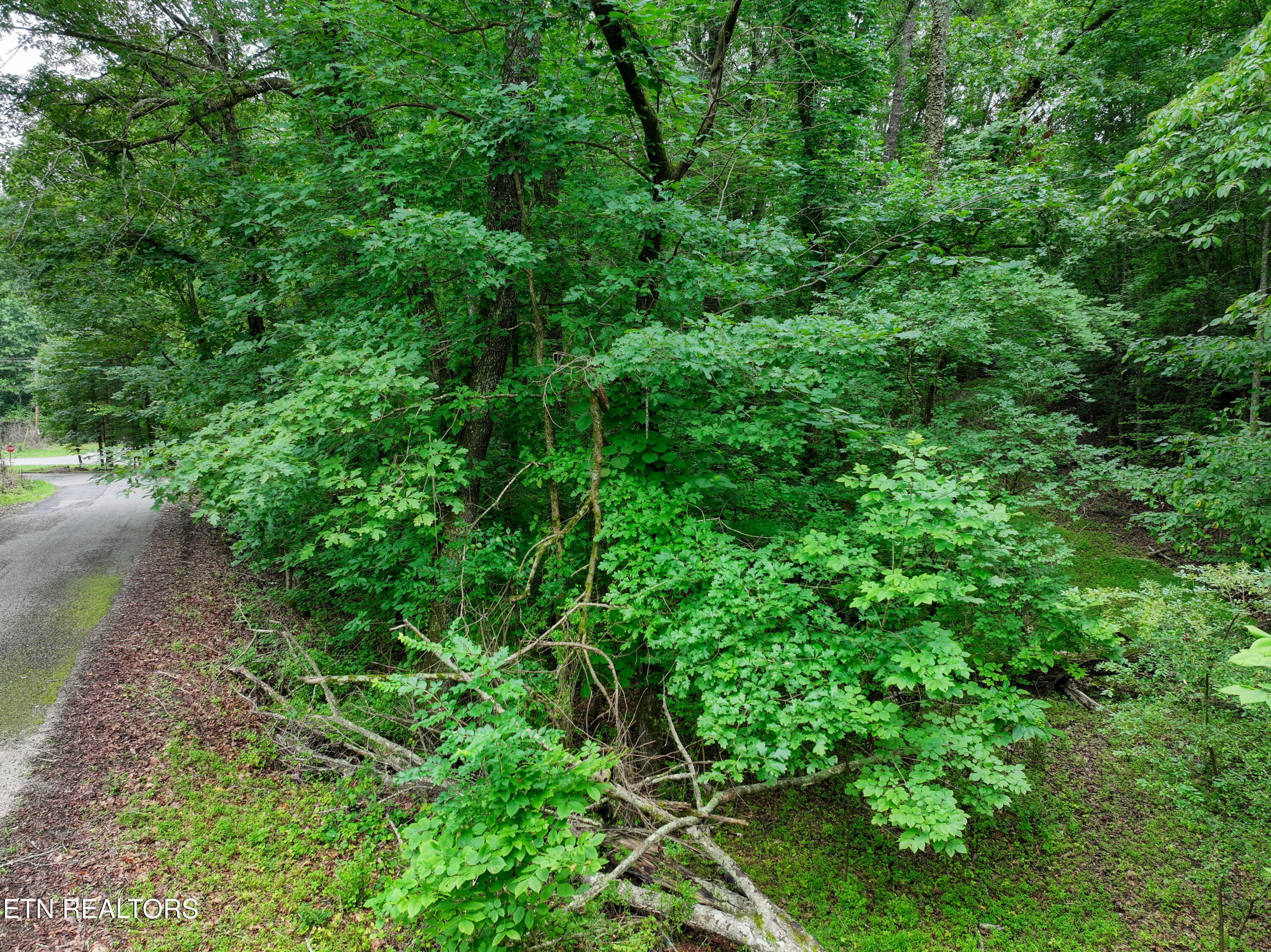 Lake Overlook Drive Rockwood TN 37854