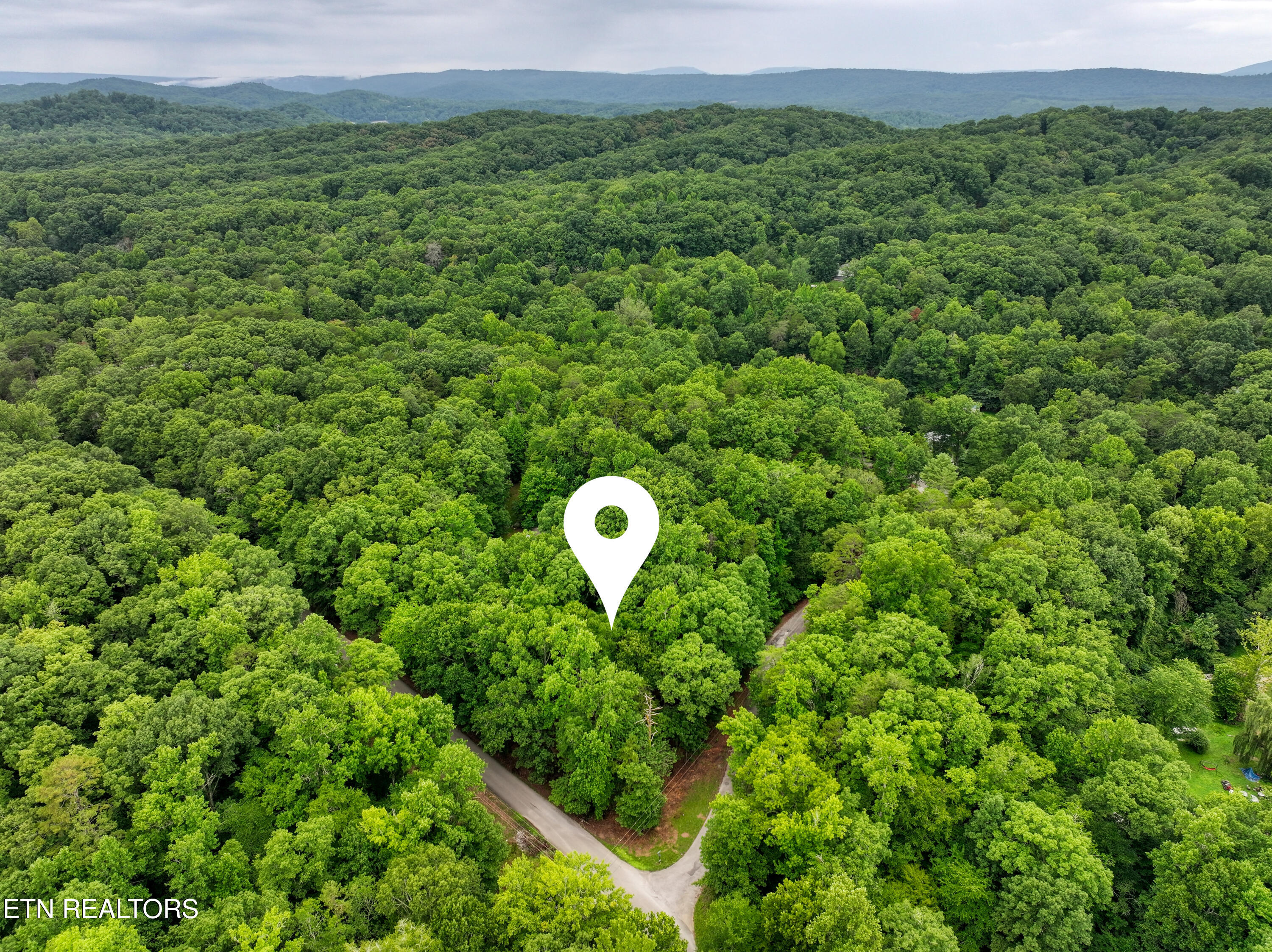 Lake Overlook Drive Rockwood TN 37854