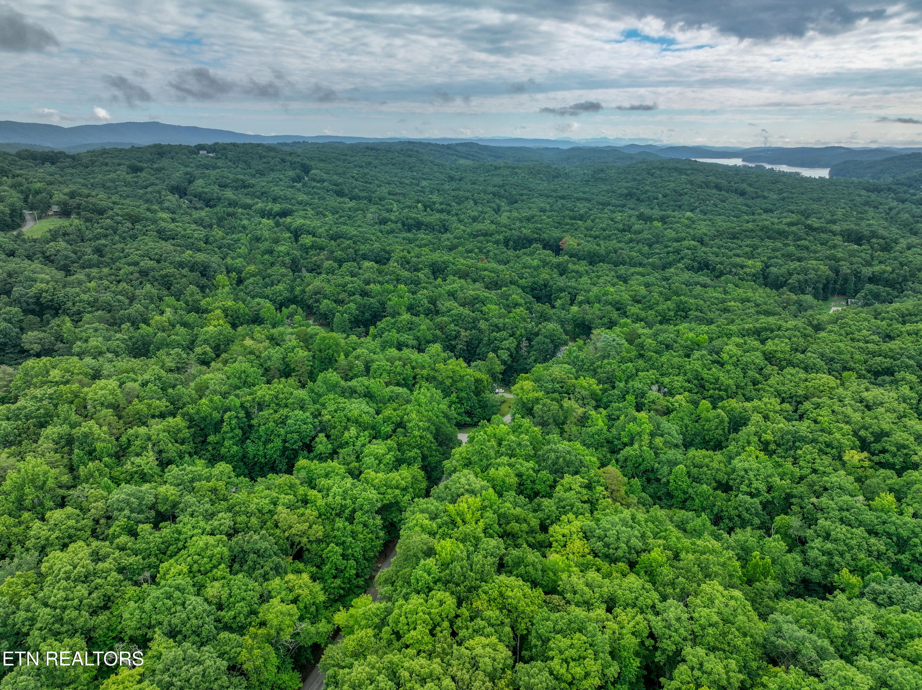 Lake Overlook Drive Rockwood TN 37854