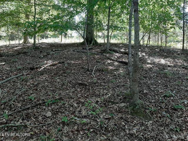 Deer Pond Circle Lafollette TN 37766