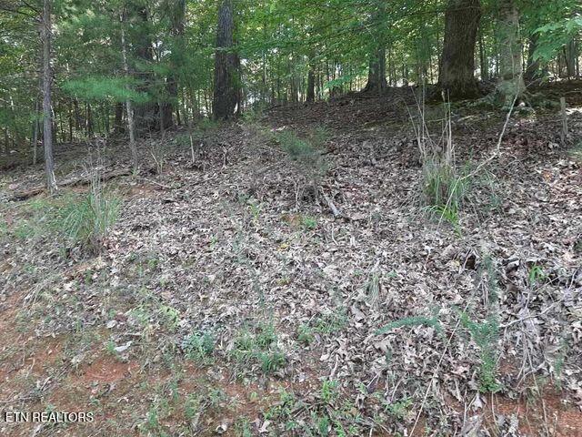 Deer Pond Circle Lafollette TN 37766