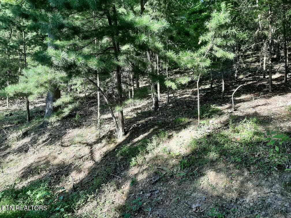 Deer Pond Circle Lafollette TN 37766