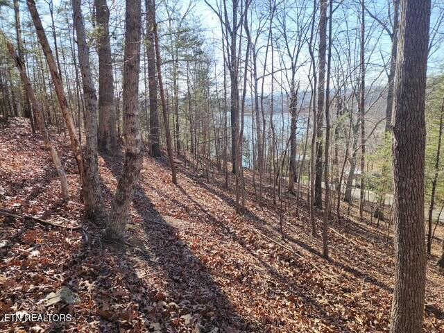 Deer Pond Circle Lafollette TN 37766
