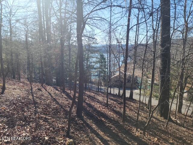 Deer Pond Circle Lafollette TN 37766