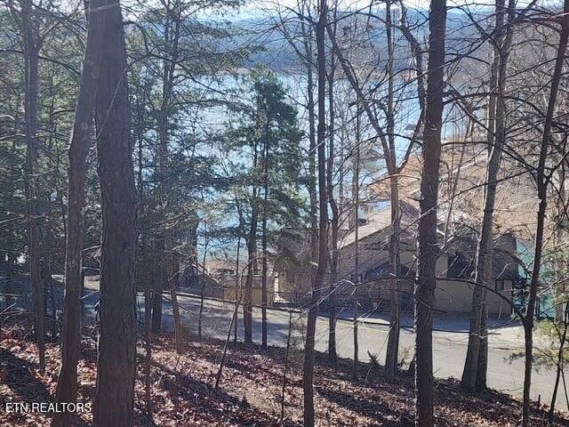 Deer Pond Circle Lafollette TN 37766