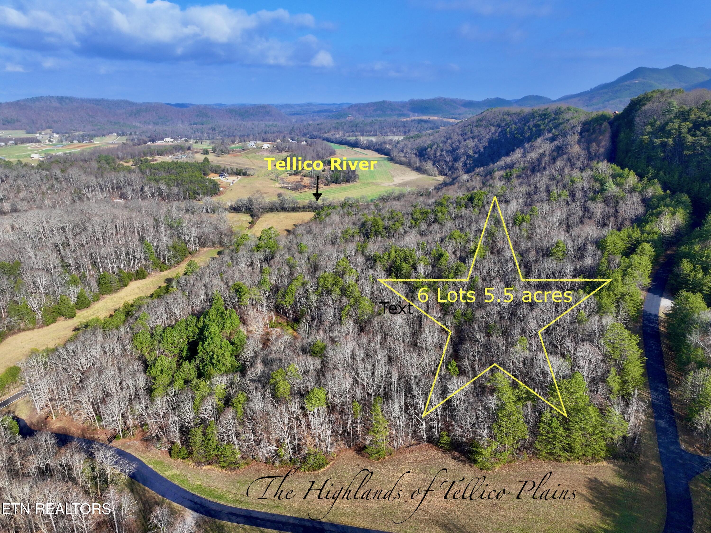 Forest View Tellico Plains TN 37385