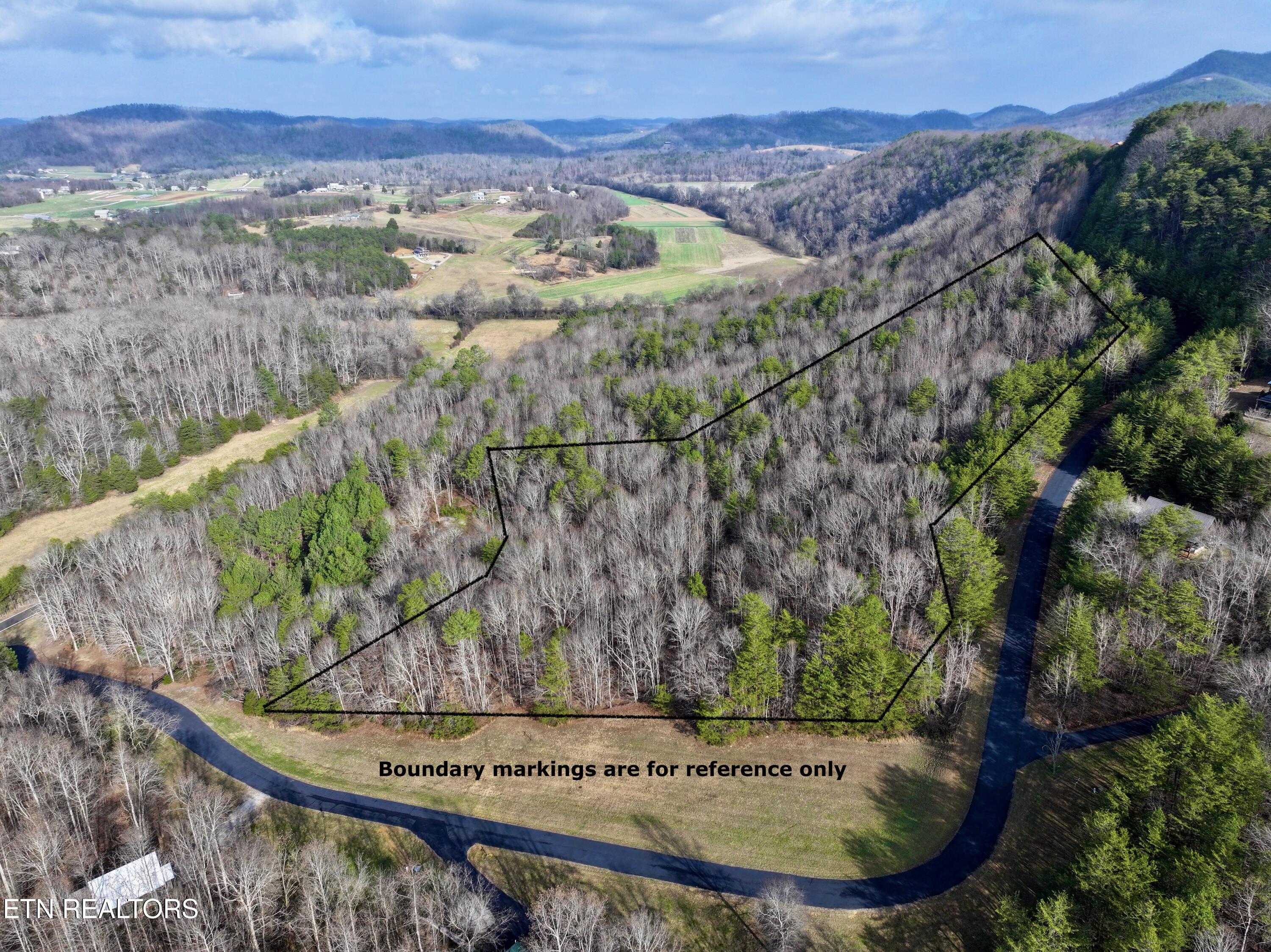 Forest View Tellico Plains TN 37385