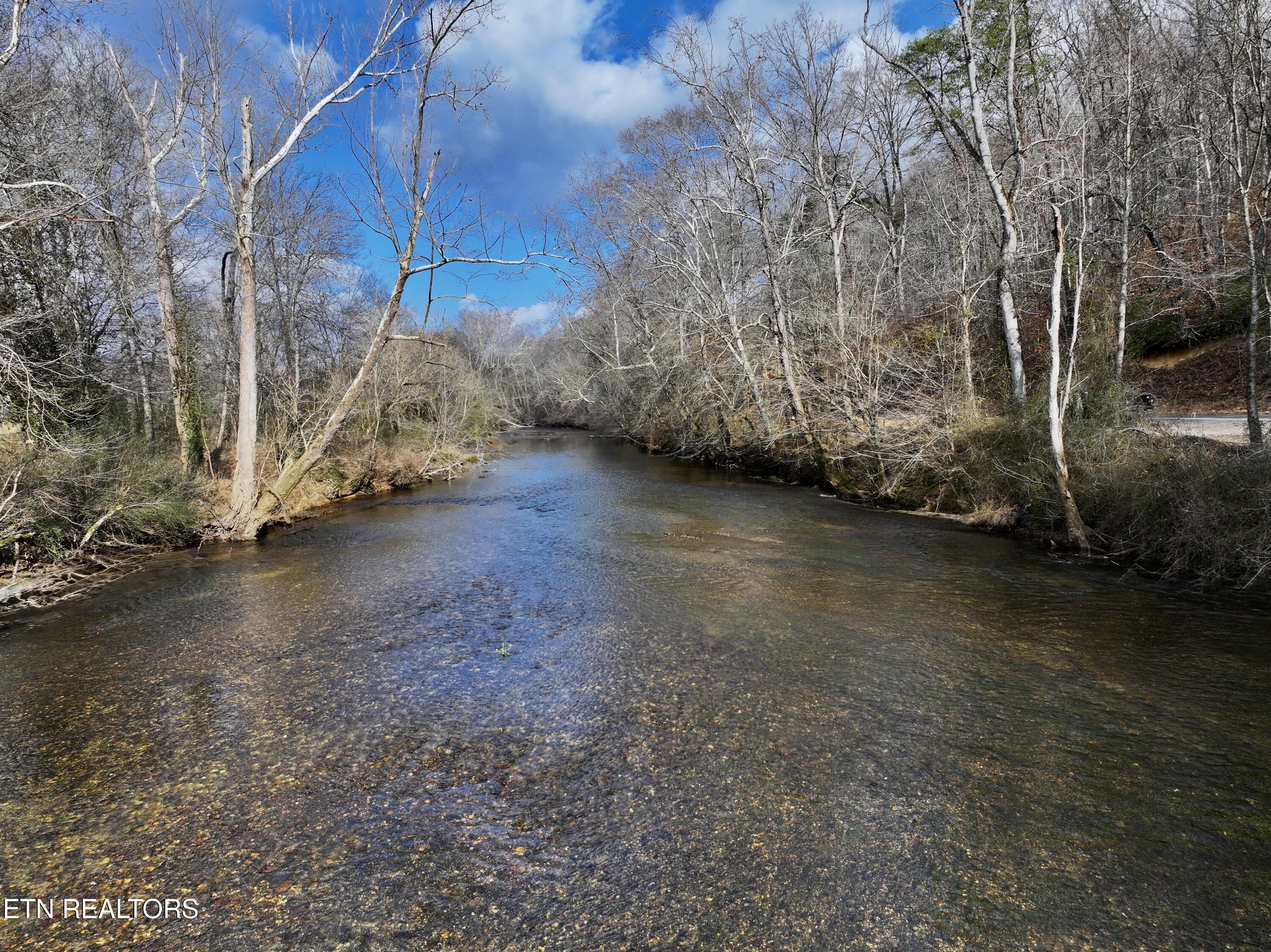 Forest View Tellico Plains TN 37385