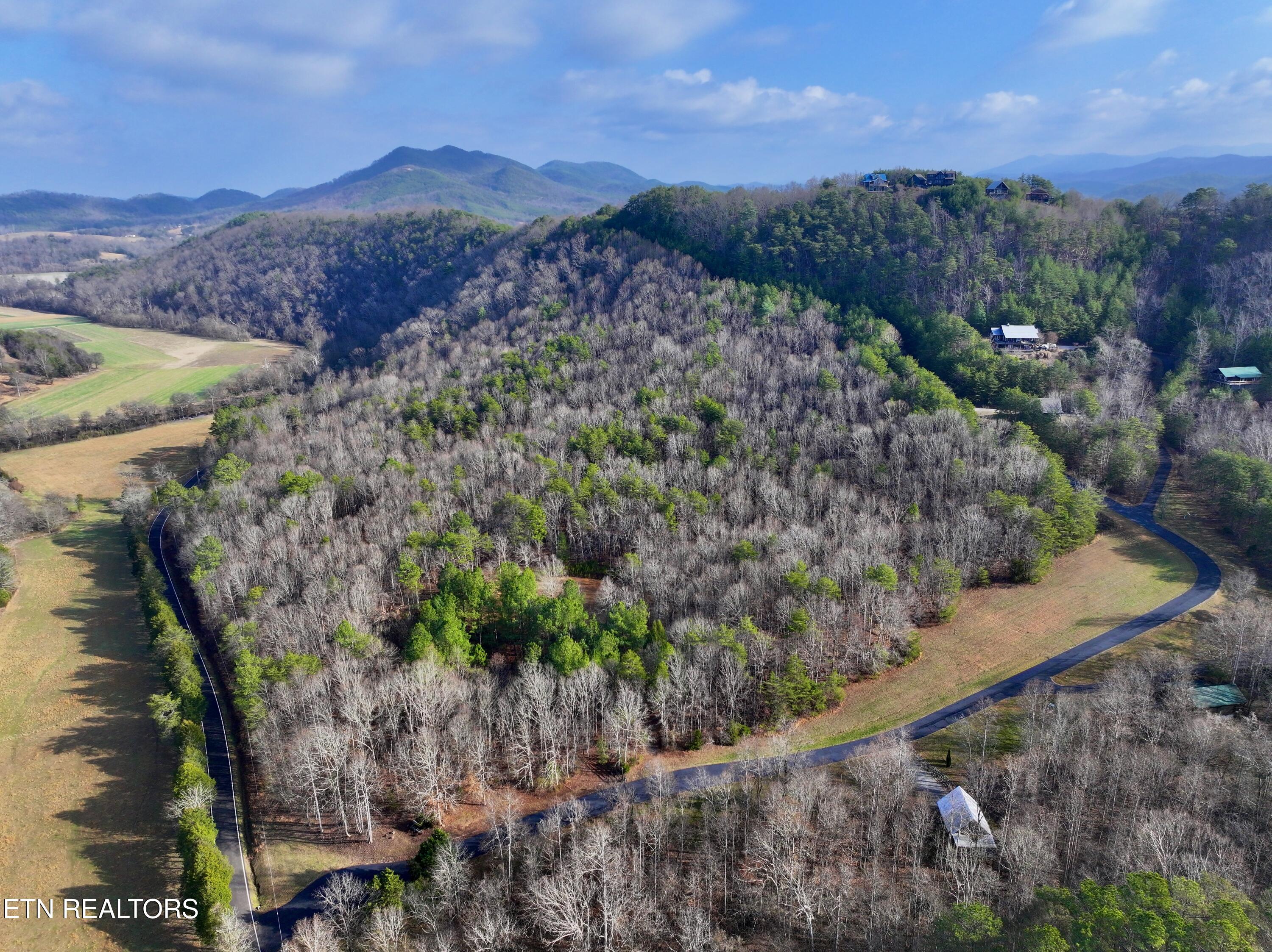Forest View Tellico Plains TN 37385