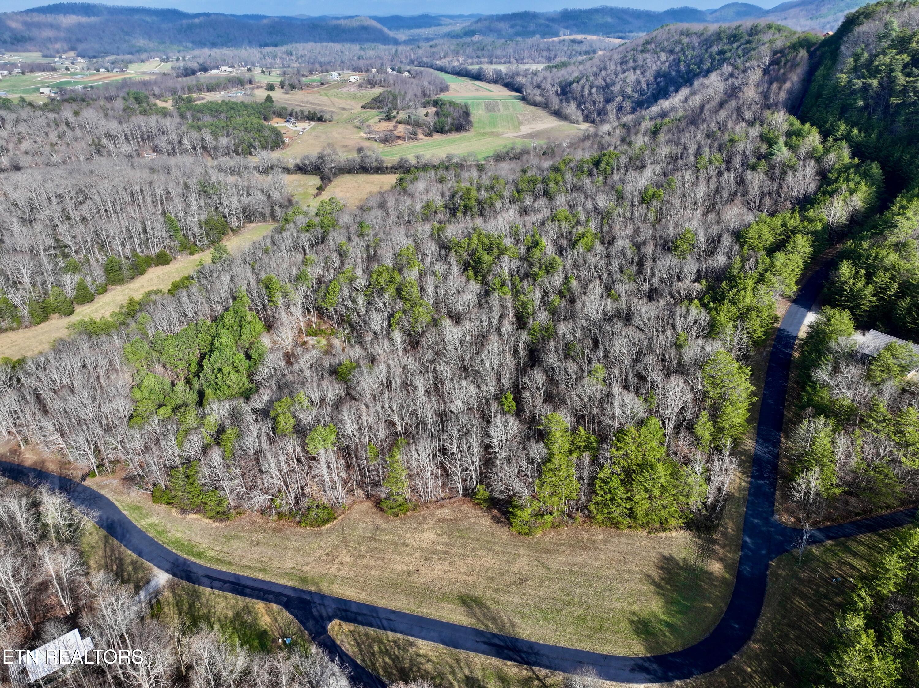Forest View Tellico Plains TN 37385