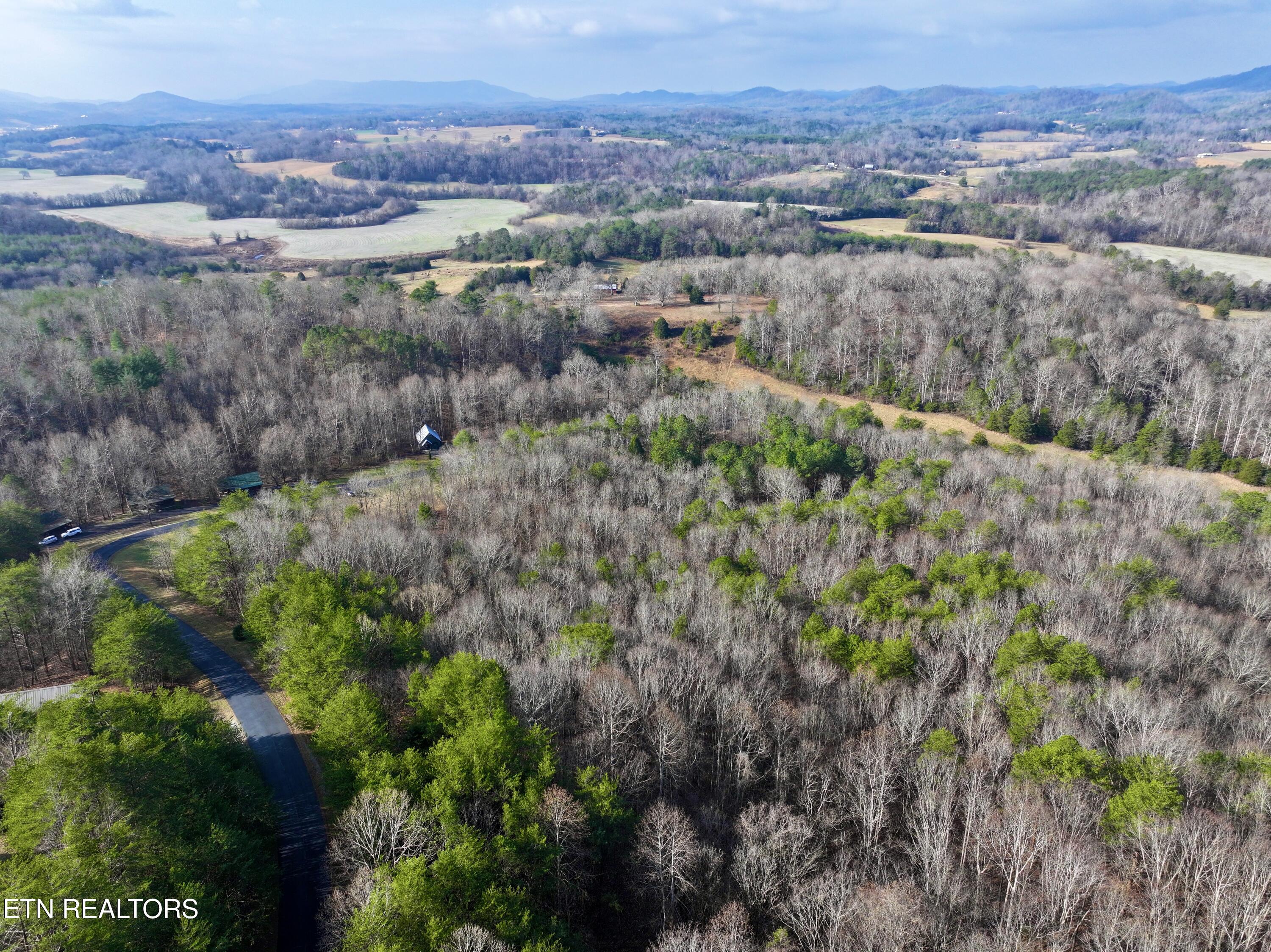 Forest View Tellico Plains TN 37385