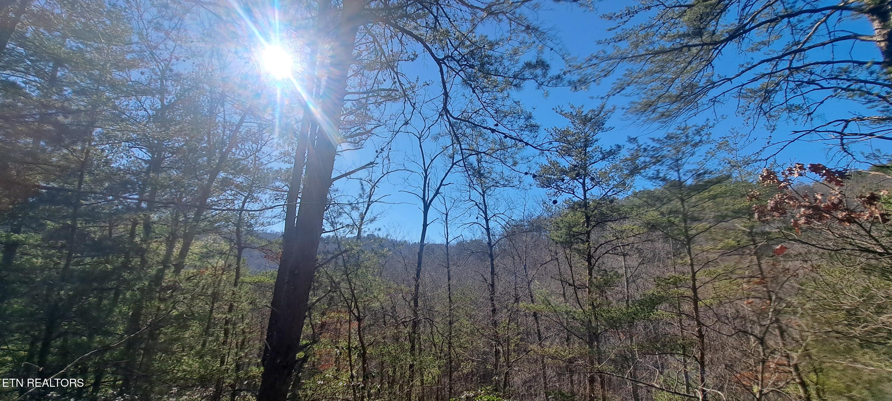 Geisz Way Sevierville TN 37862