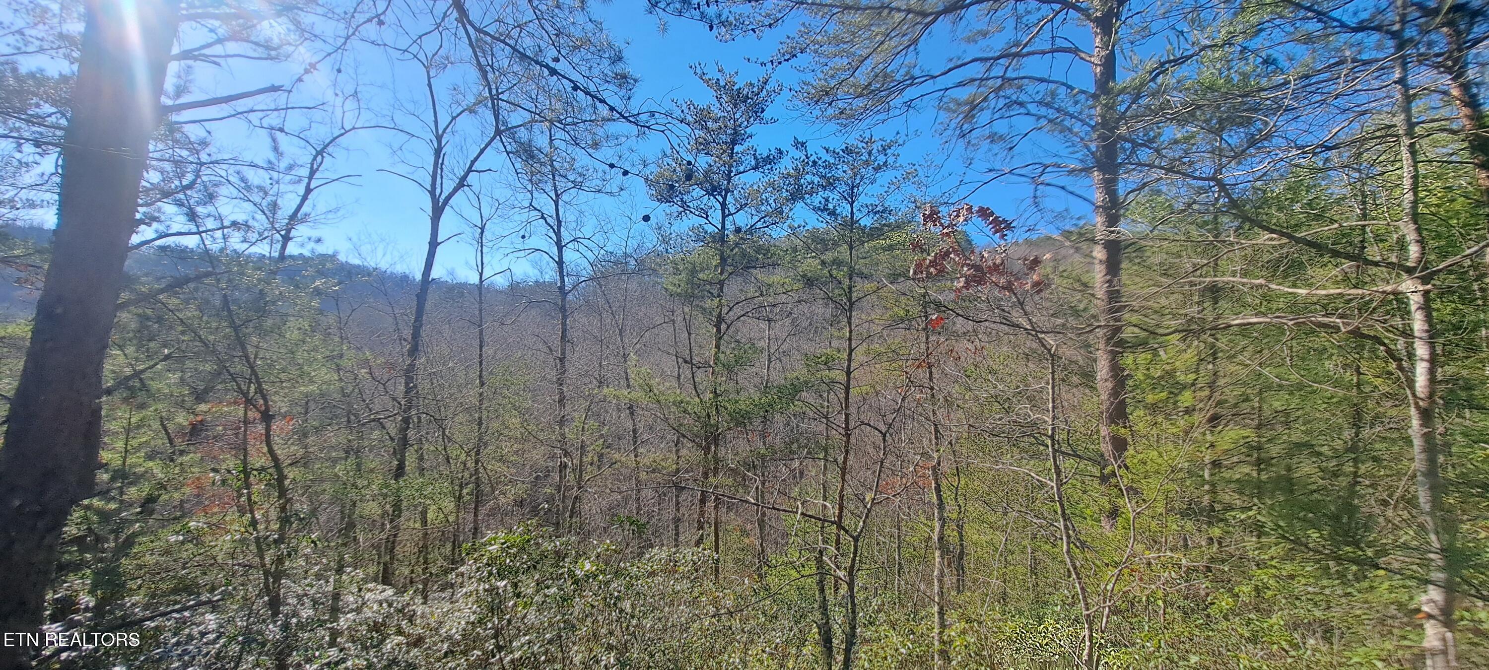 Geisz Way Sevierville TN 37862