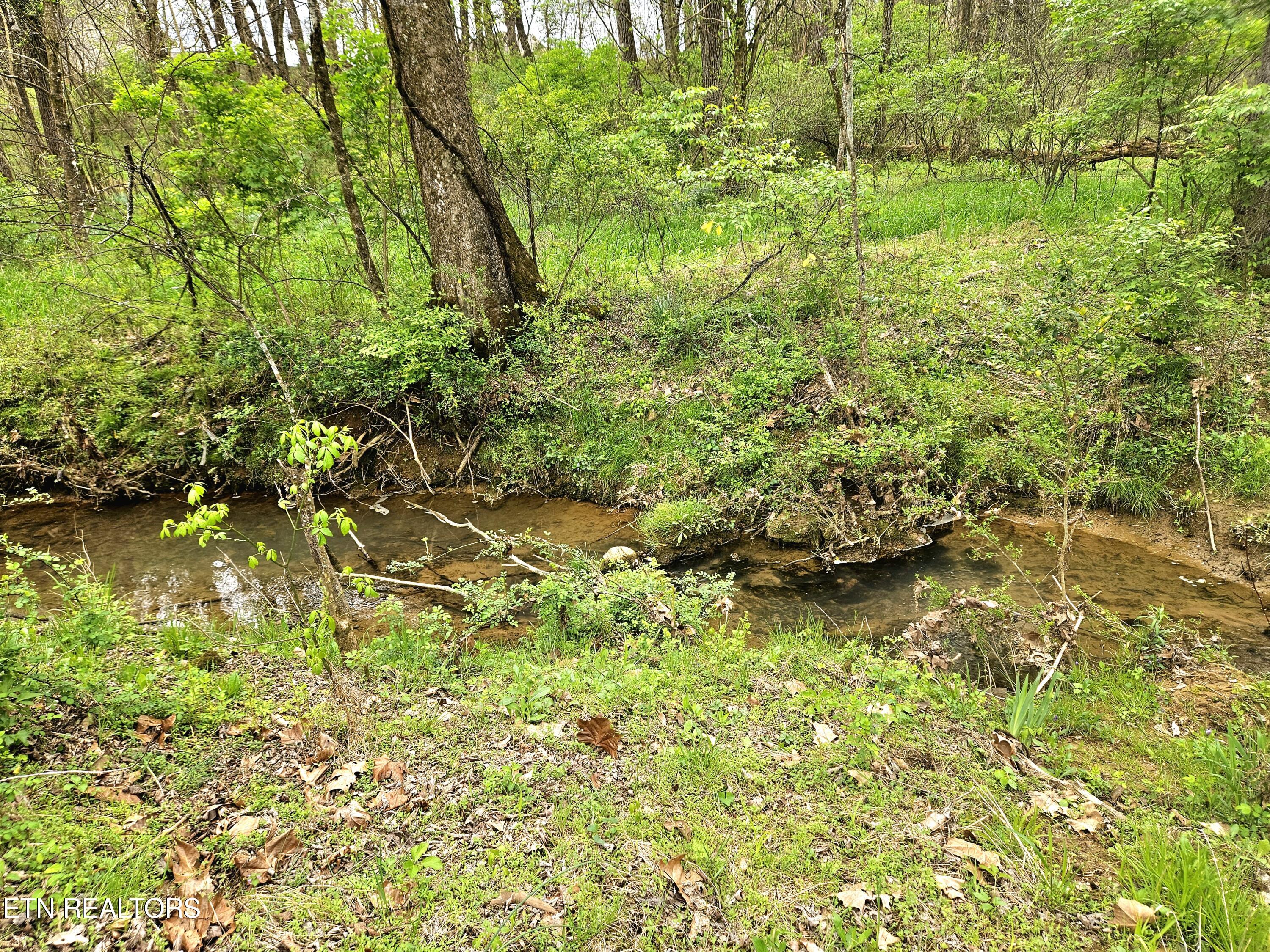 614 Winding Creek Way Walland TN 37886