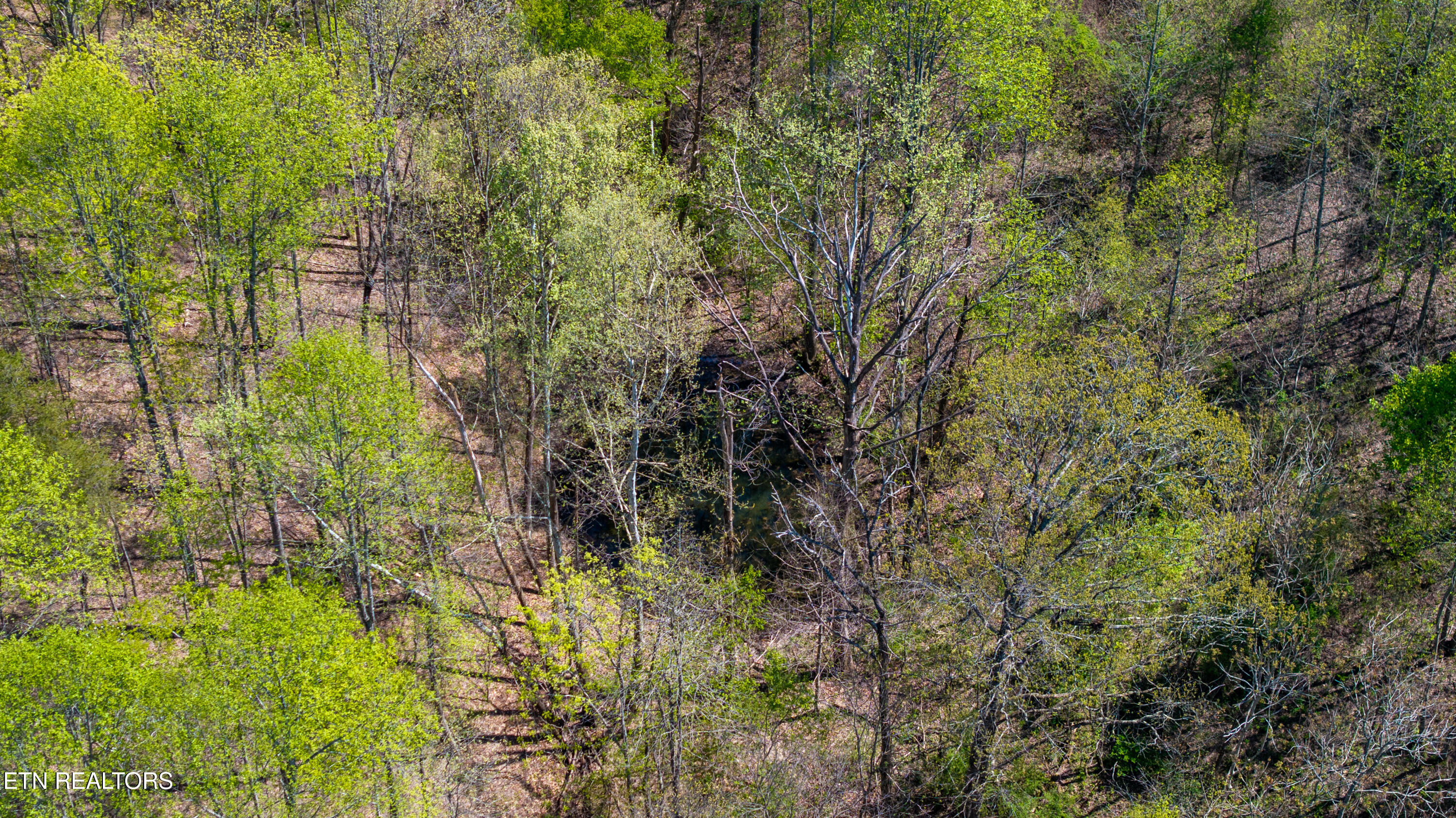 00 Dodson Branch Highway Cookeville TN 38501