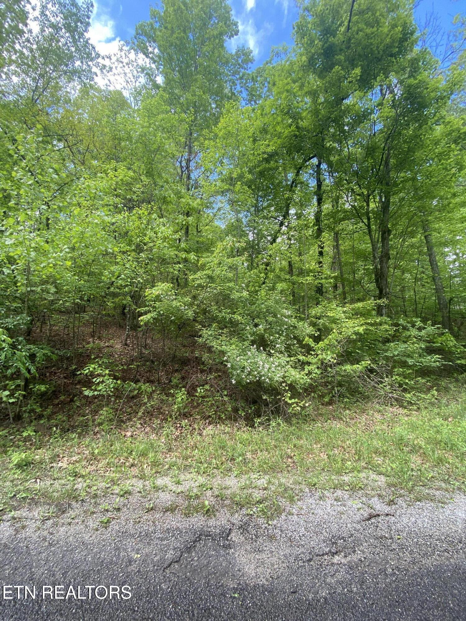 610 Catawba Lane Crossville TN 38572