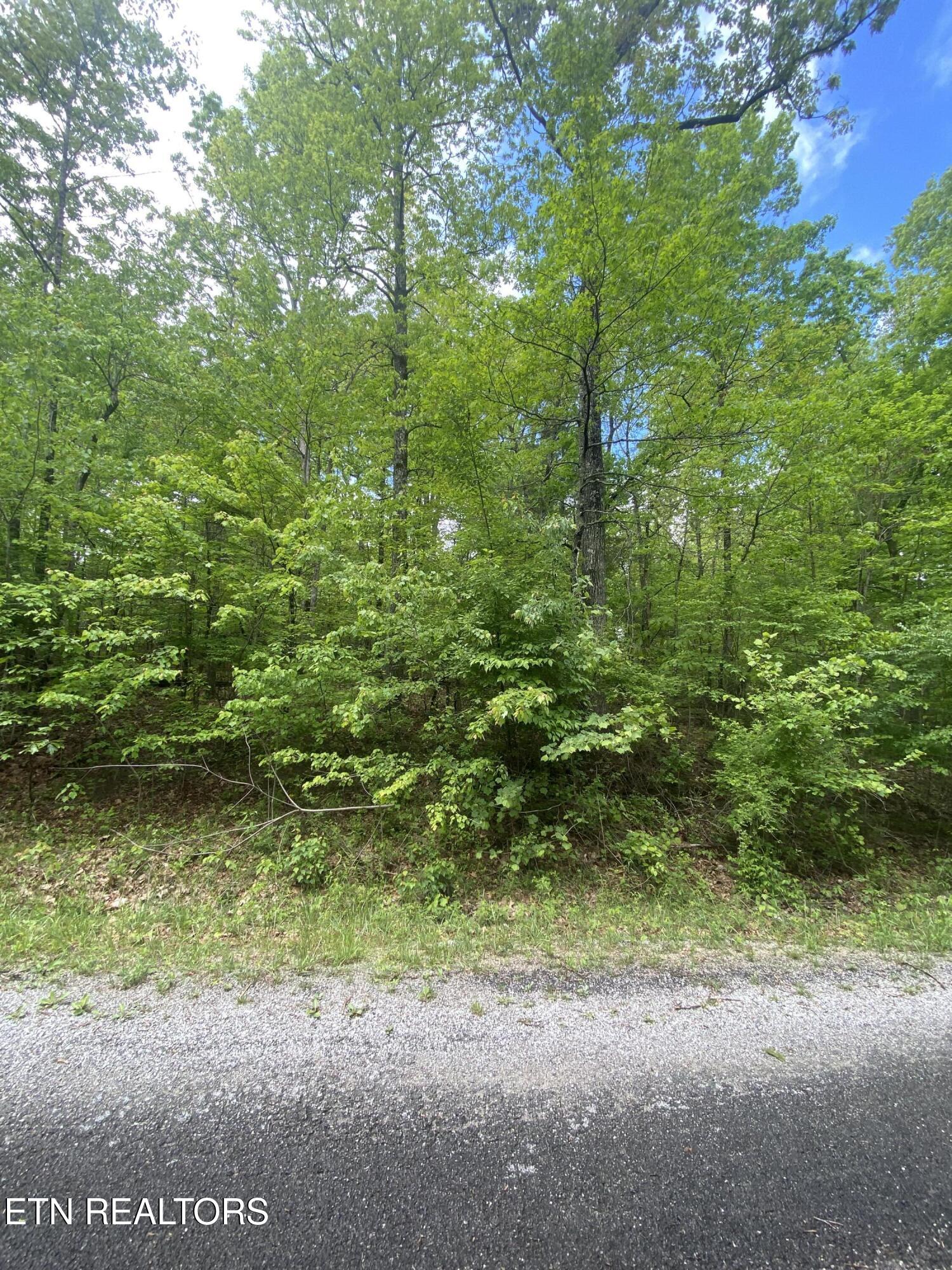 610 Catawba Lane Crossville TN 38572