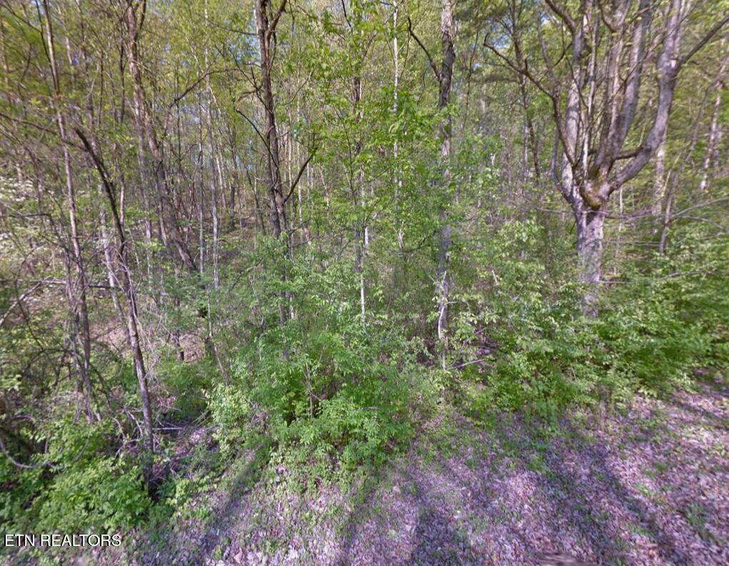Tower Drive Clinton TN 37716