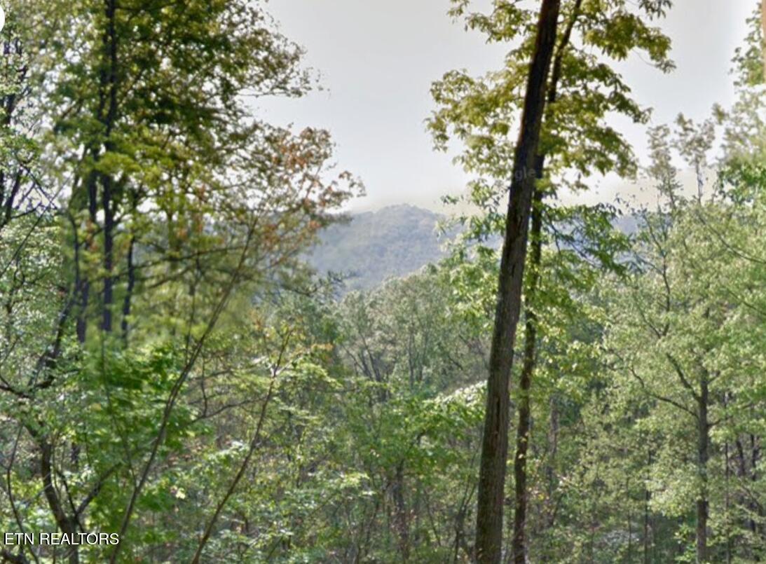 Tower Drive Clinton TN 37716