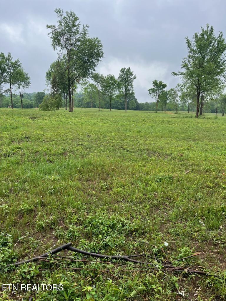 Stone Mill Road Lot 2 Jacksboro TN 37757