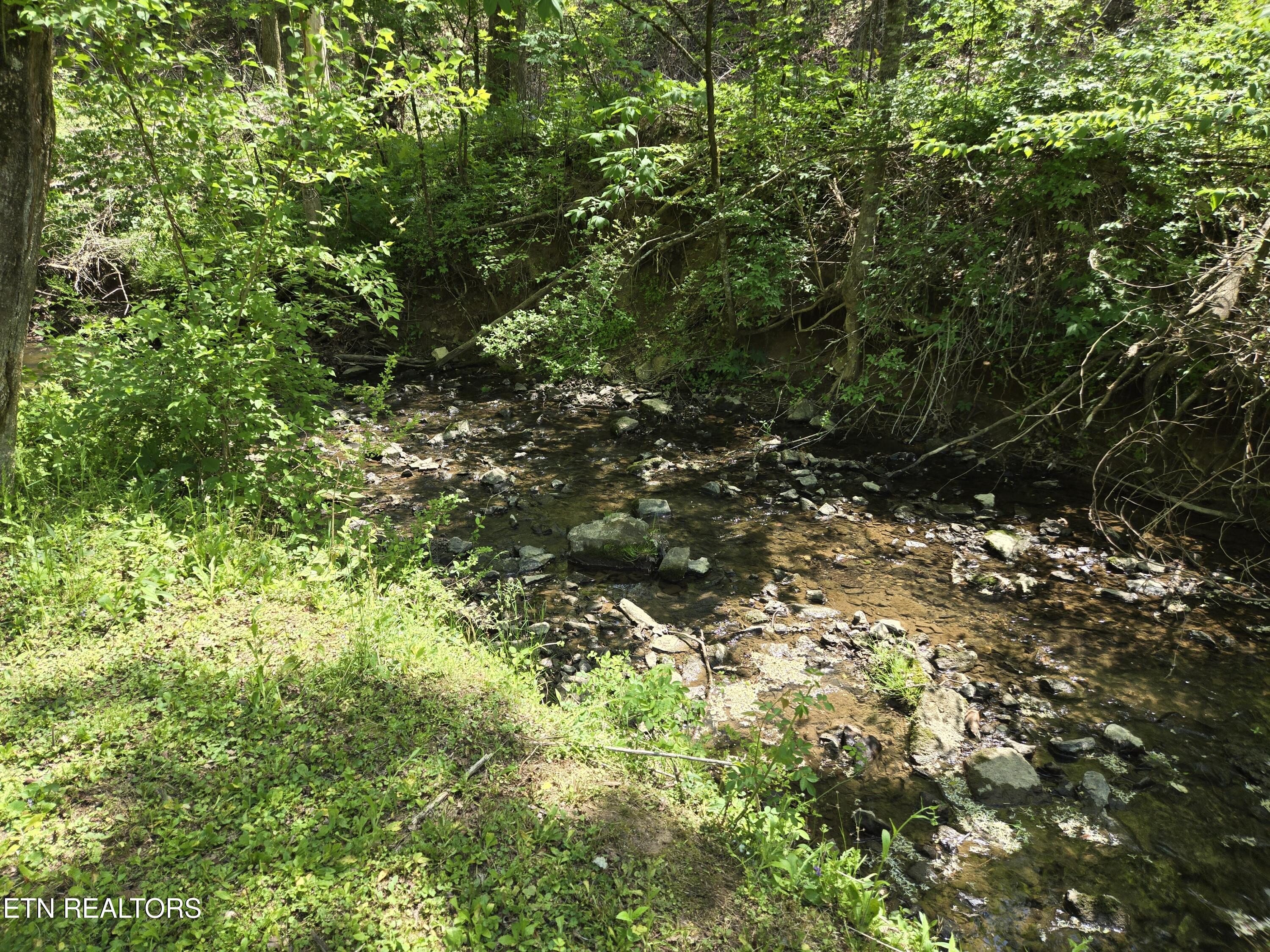 564 Keylon Drive Harriman TN 37748