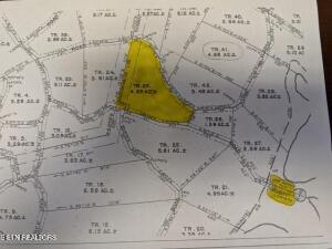 4.99 Acres Juniper Court Spring City TN 37381