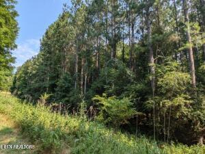 4.99 Acres Juniper Court Spring City TN 37381