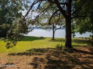 4.99 Acres Juniper Court Spring City TN 37381