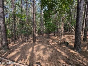 4.99 Acres Juniper Court Spring City TN 37381