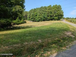 4.99 Acres Juniper Court Spring City TN 37381