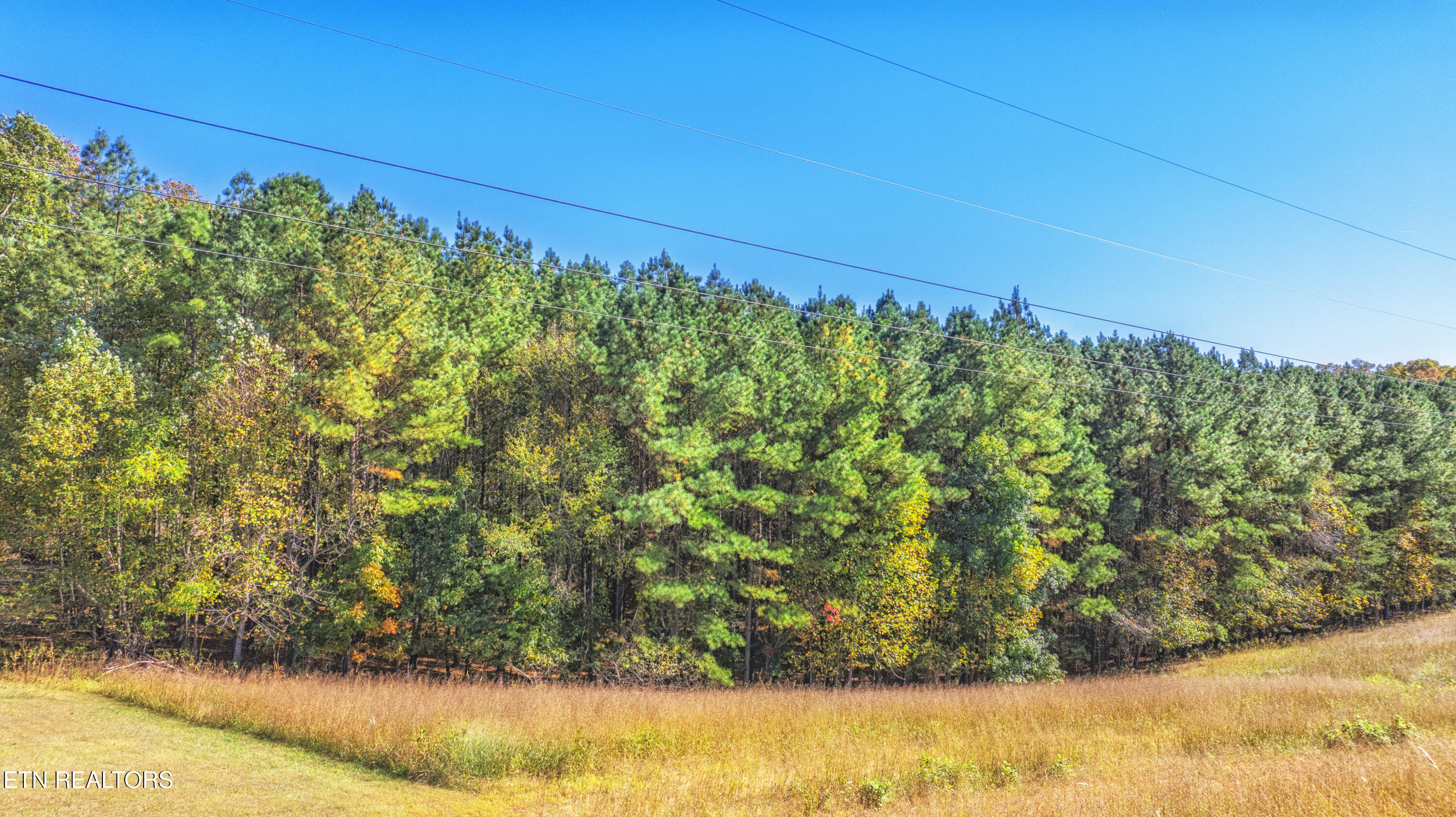 4.99 Acres Juniper Court Spring City TN 37381