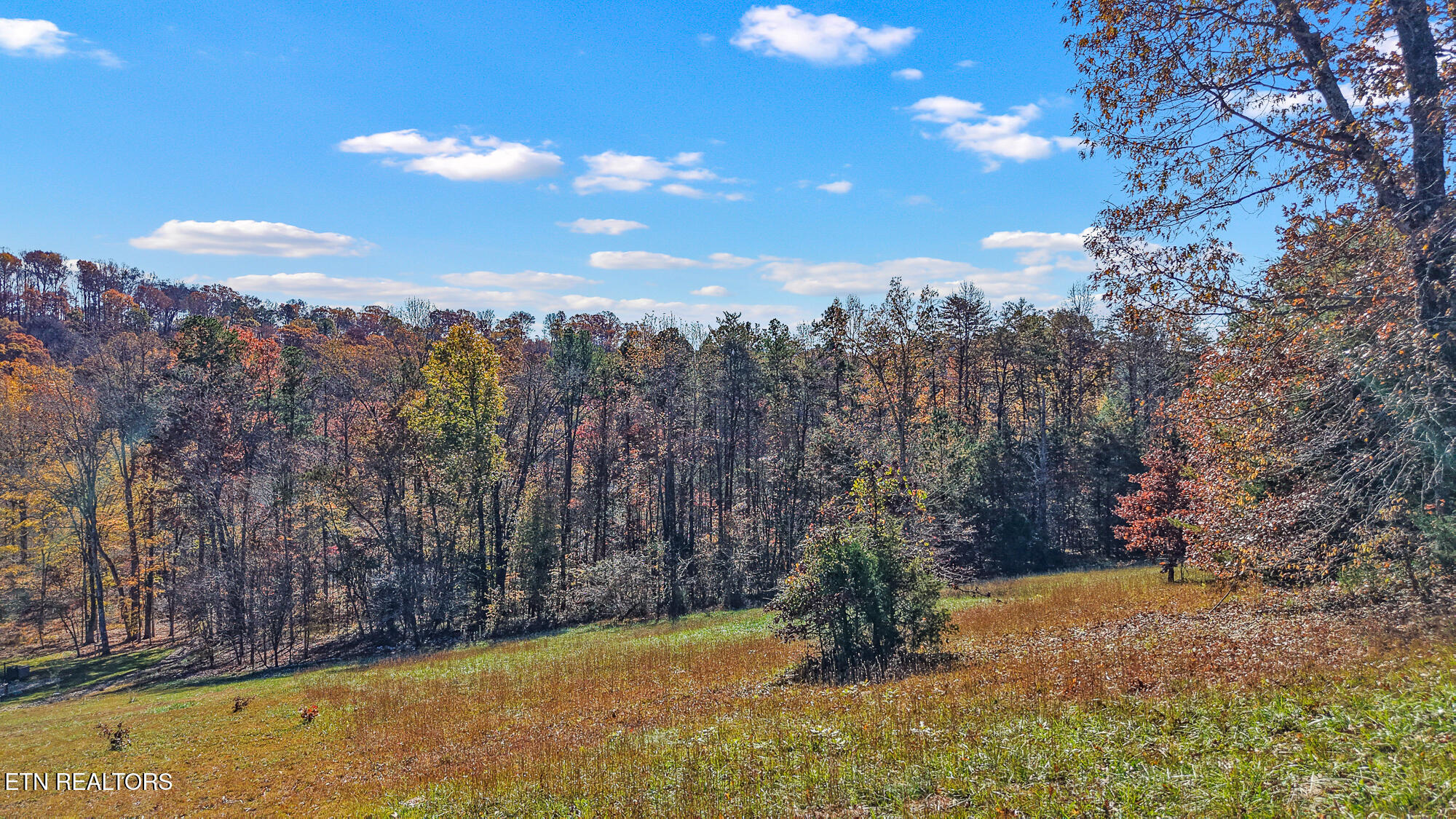 101 Copper Still Way Madisonville TN 37354