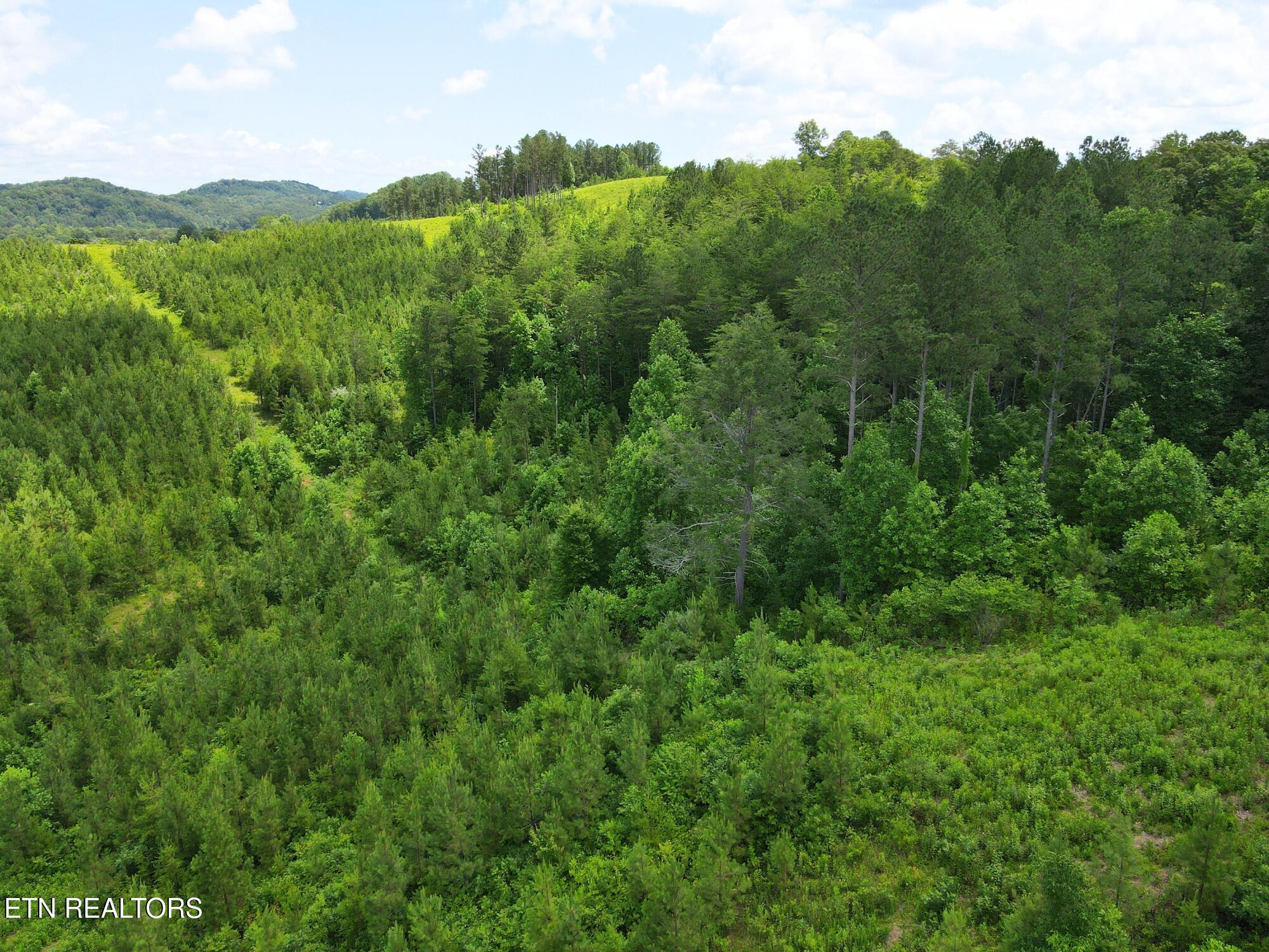 Lot 54 Three Point Road Vonore TN 37885