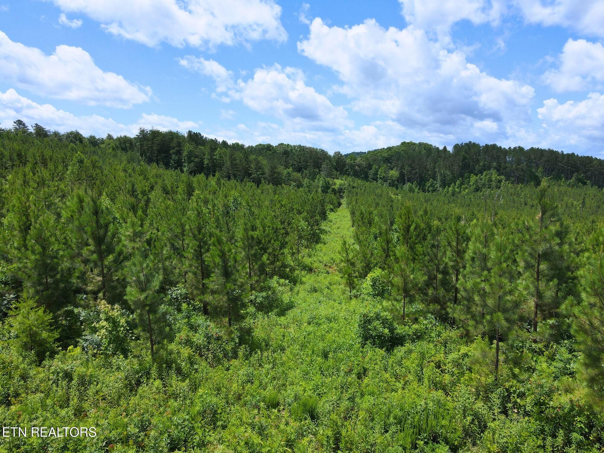Lot 54 Three Point Road Vonore TN 37885