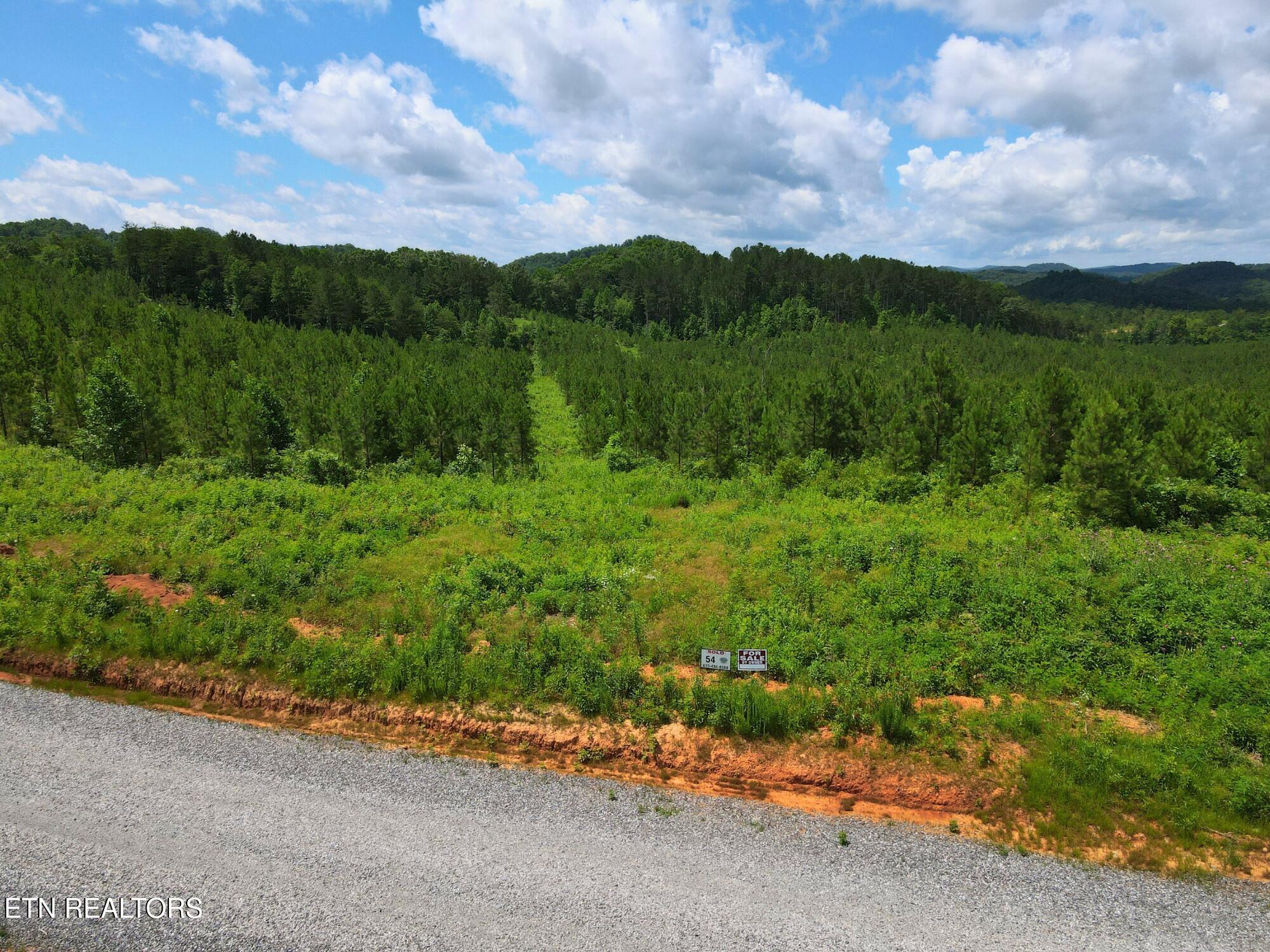 Lot 54 Three Point Road Vonore TN 37885