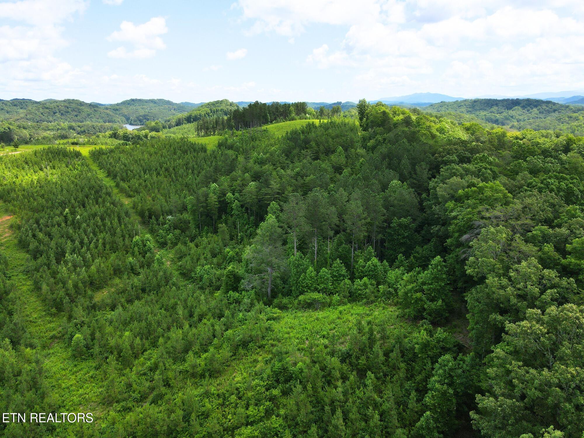 Lot 54 Three Point Road Vonore TN 37885